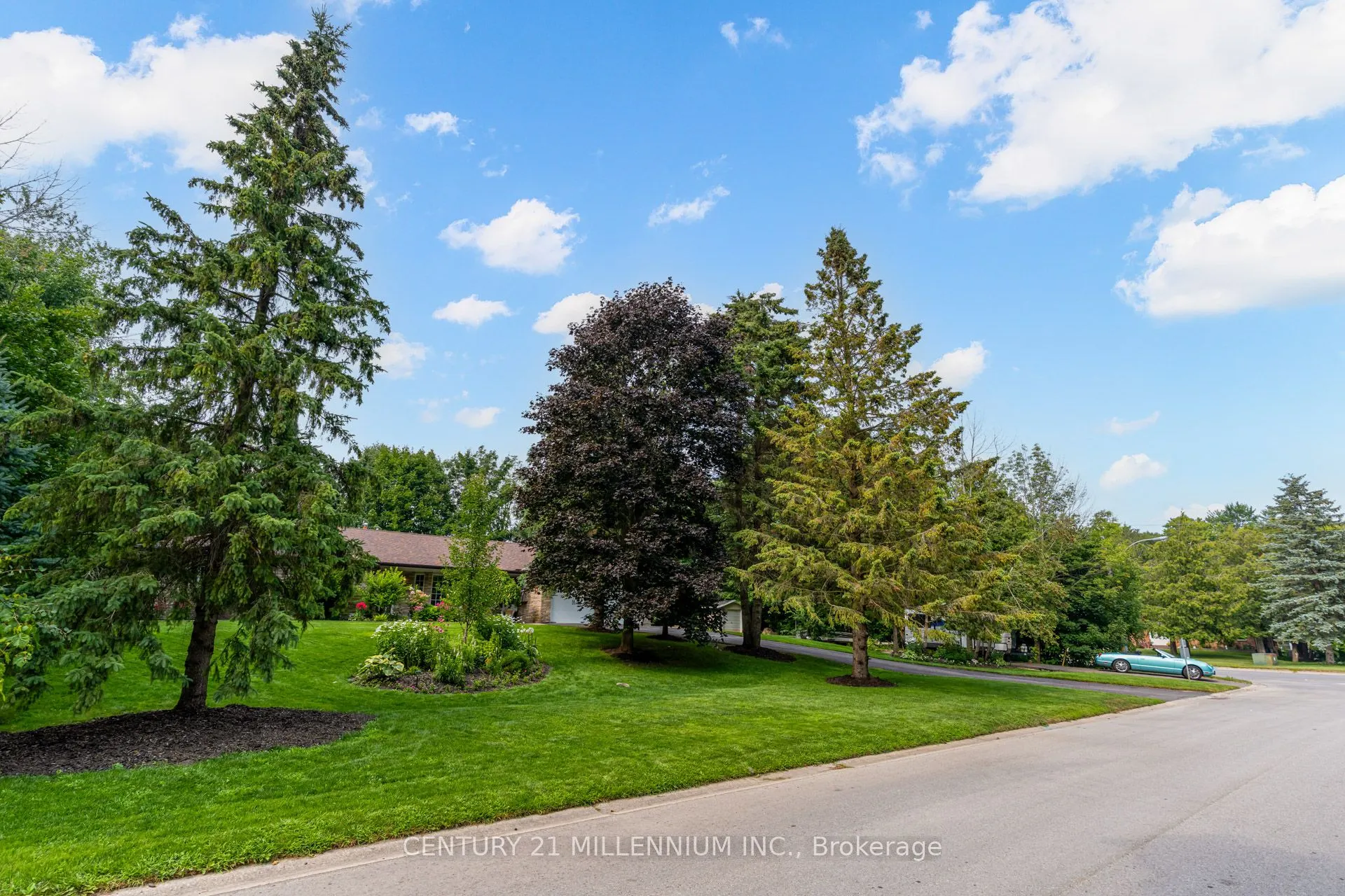 101 Birch Grove