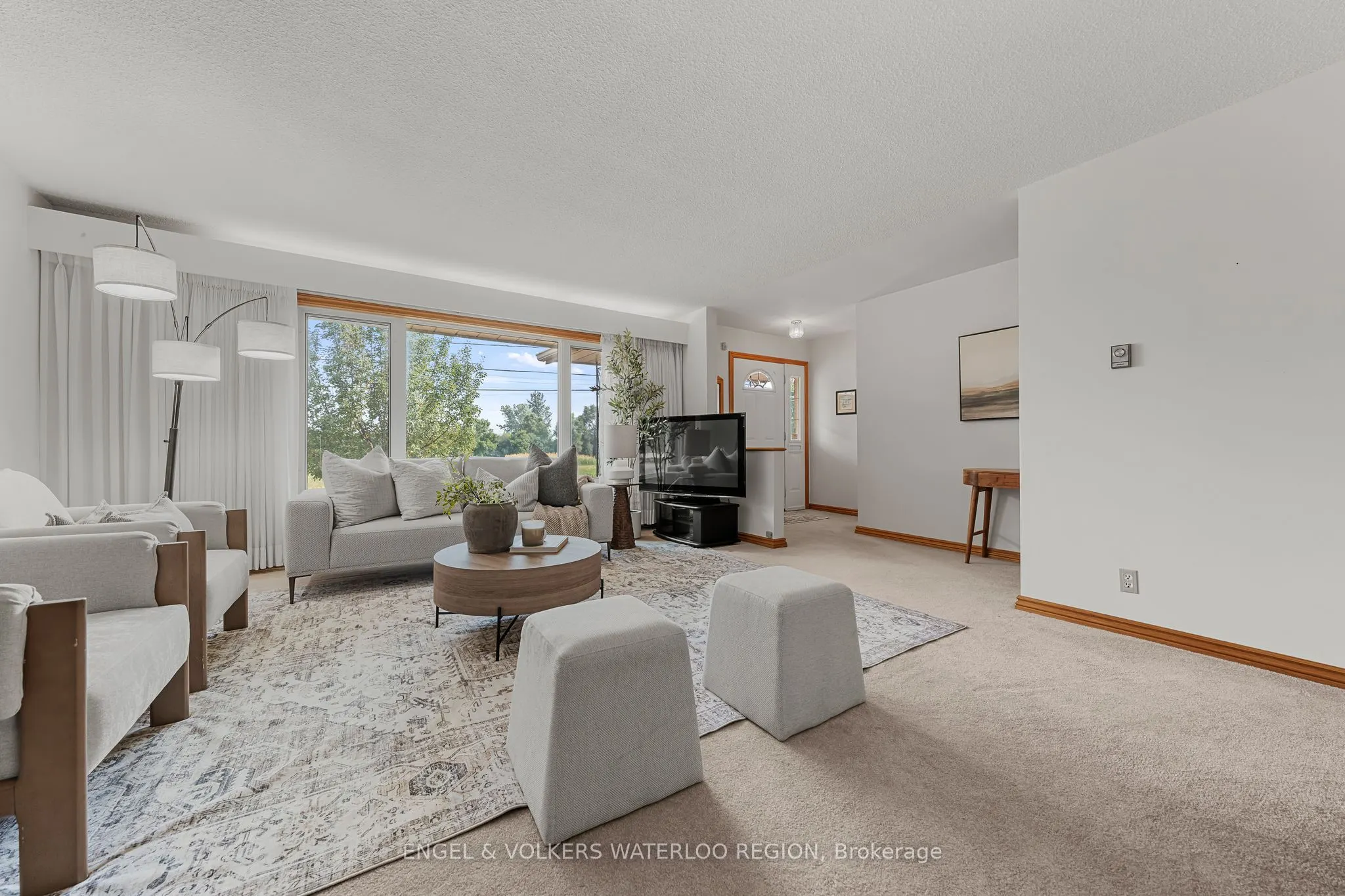 161 Schweitzer Street