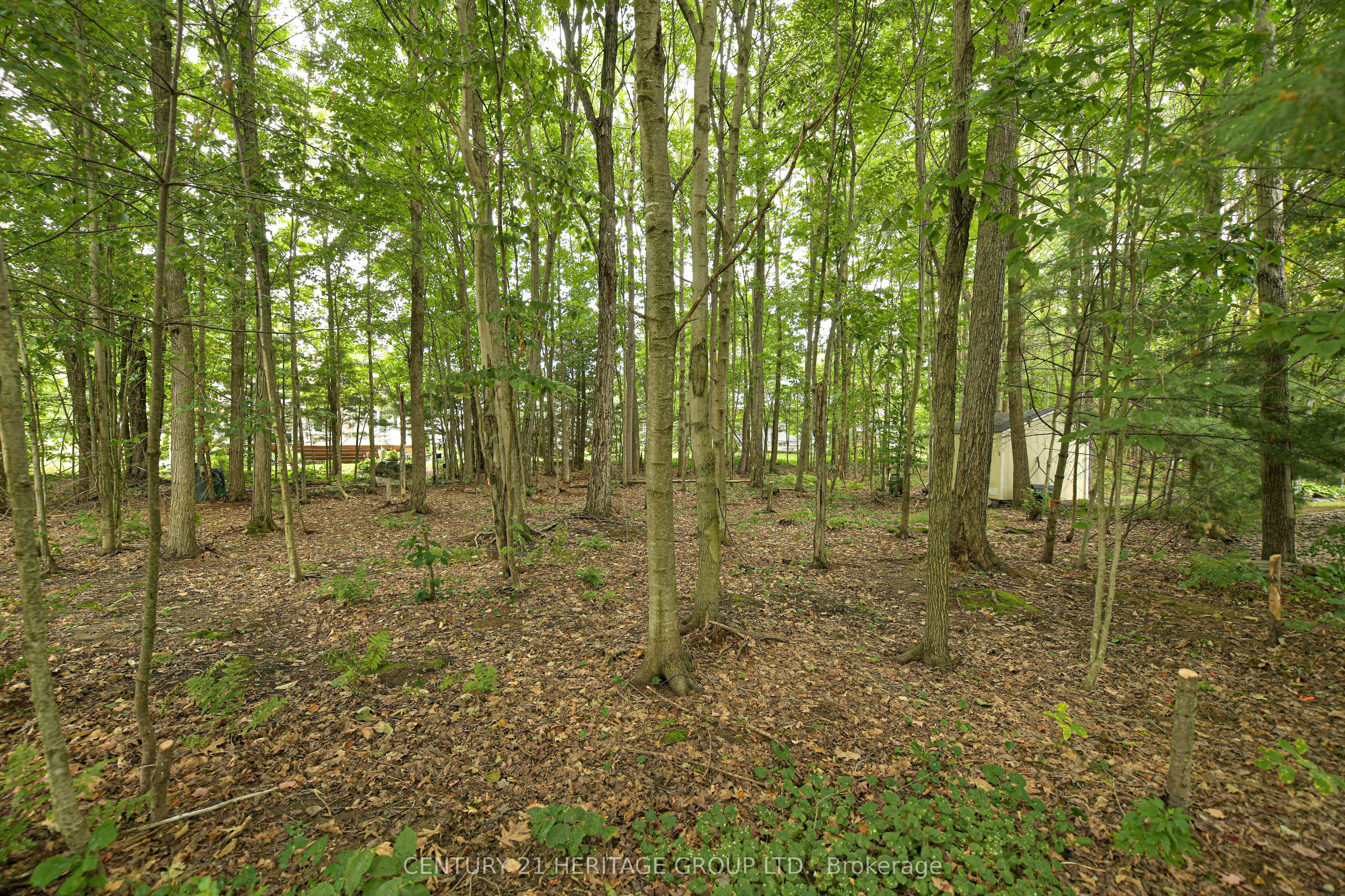 130 Hedgewood Lane