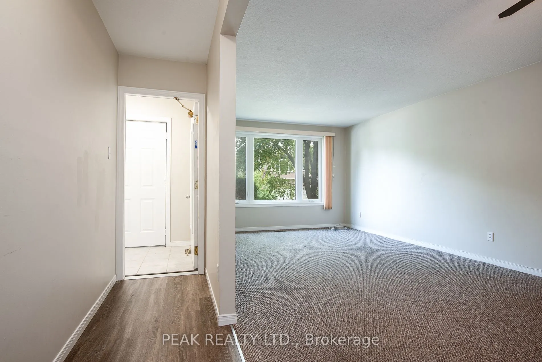 9 Macville Avenue