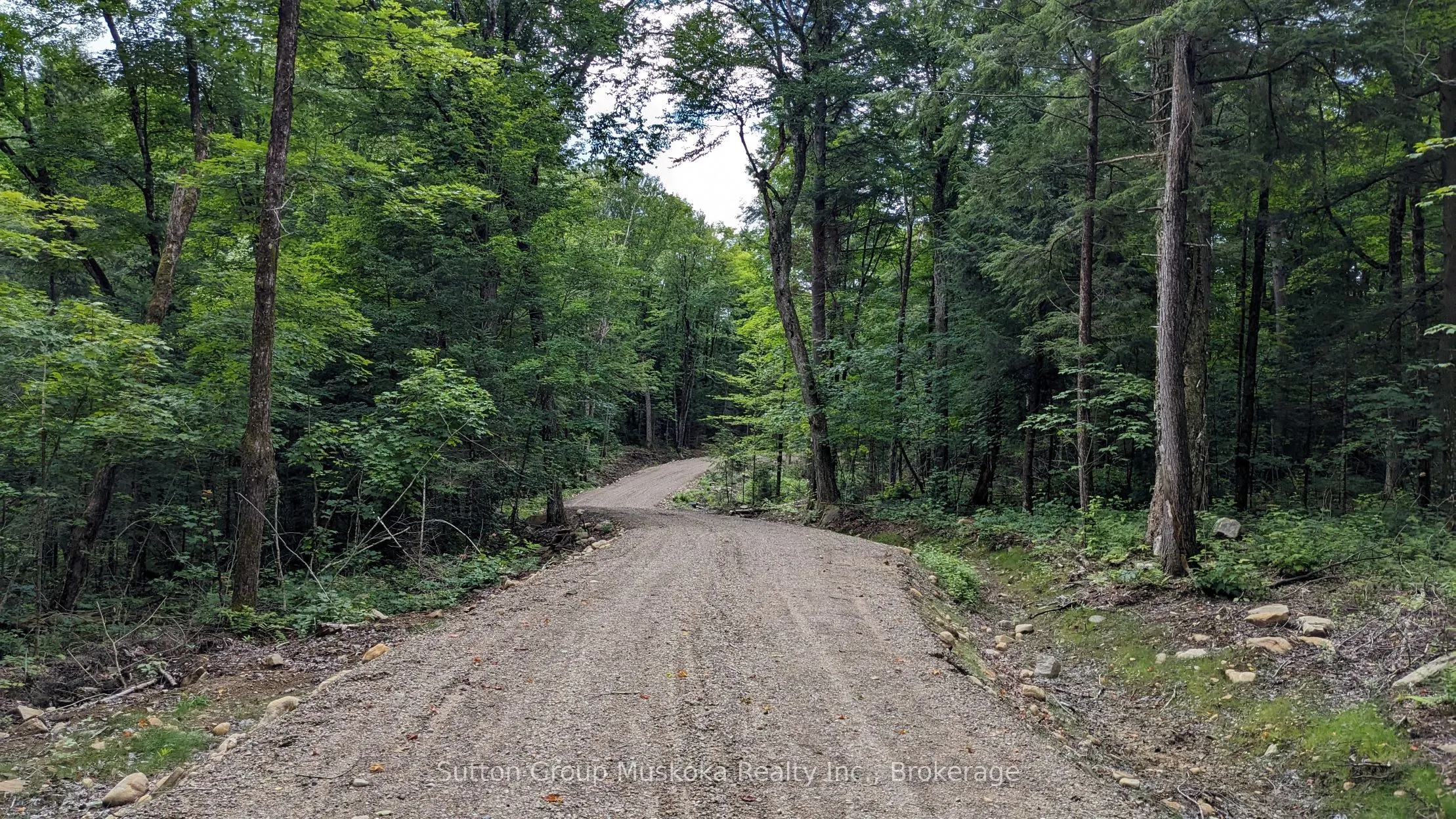 LOT 1 ESIG Lane