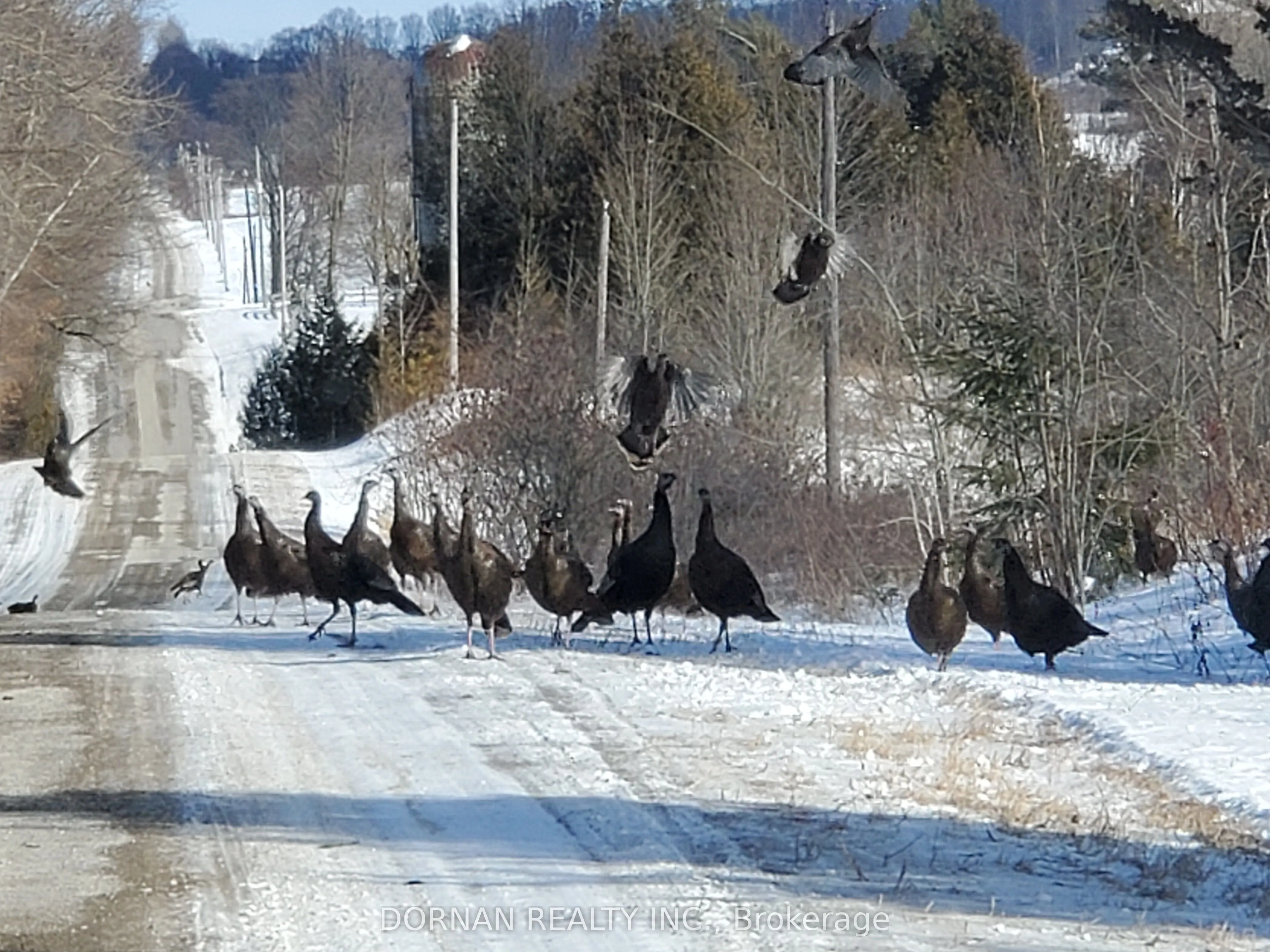 5858 Eagleson Line