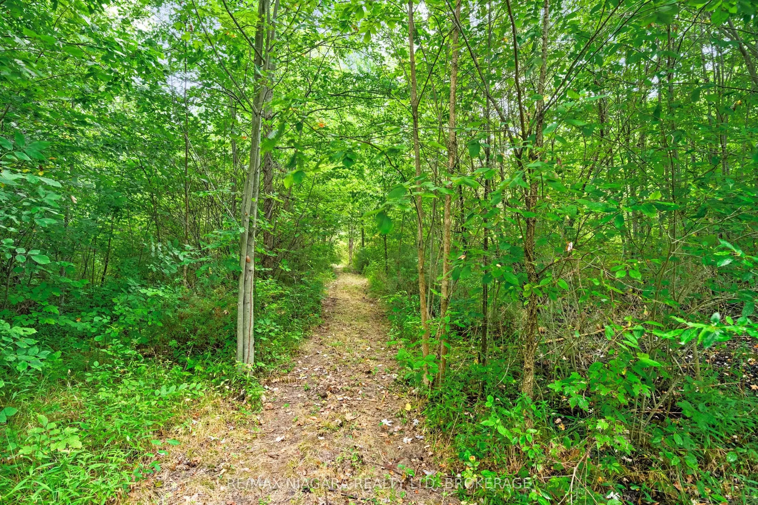 594 Doans Ridge Road