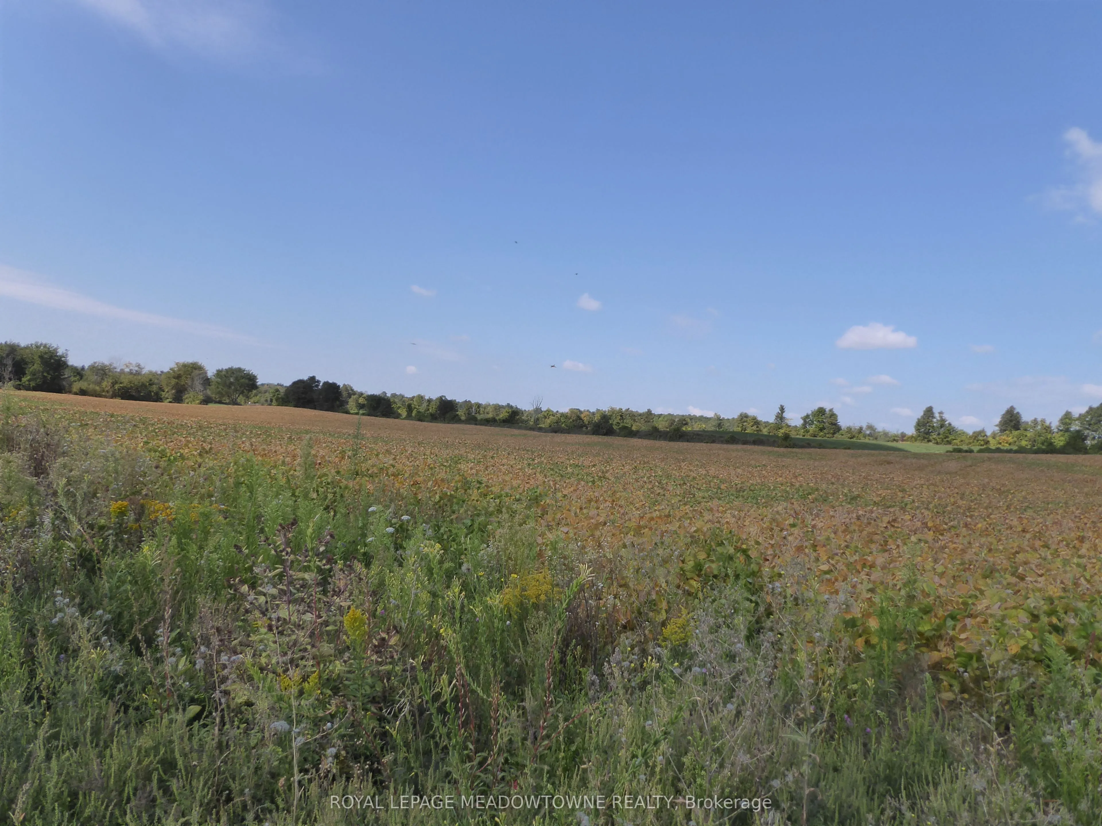 4958 Wellington Road 125