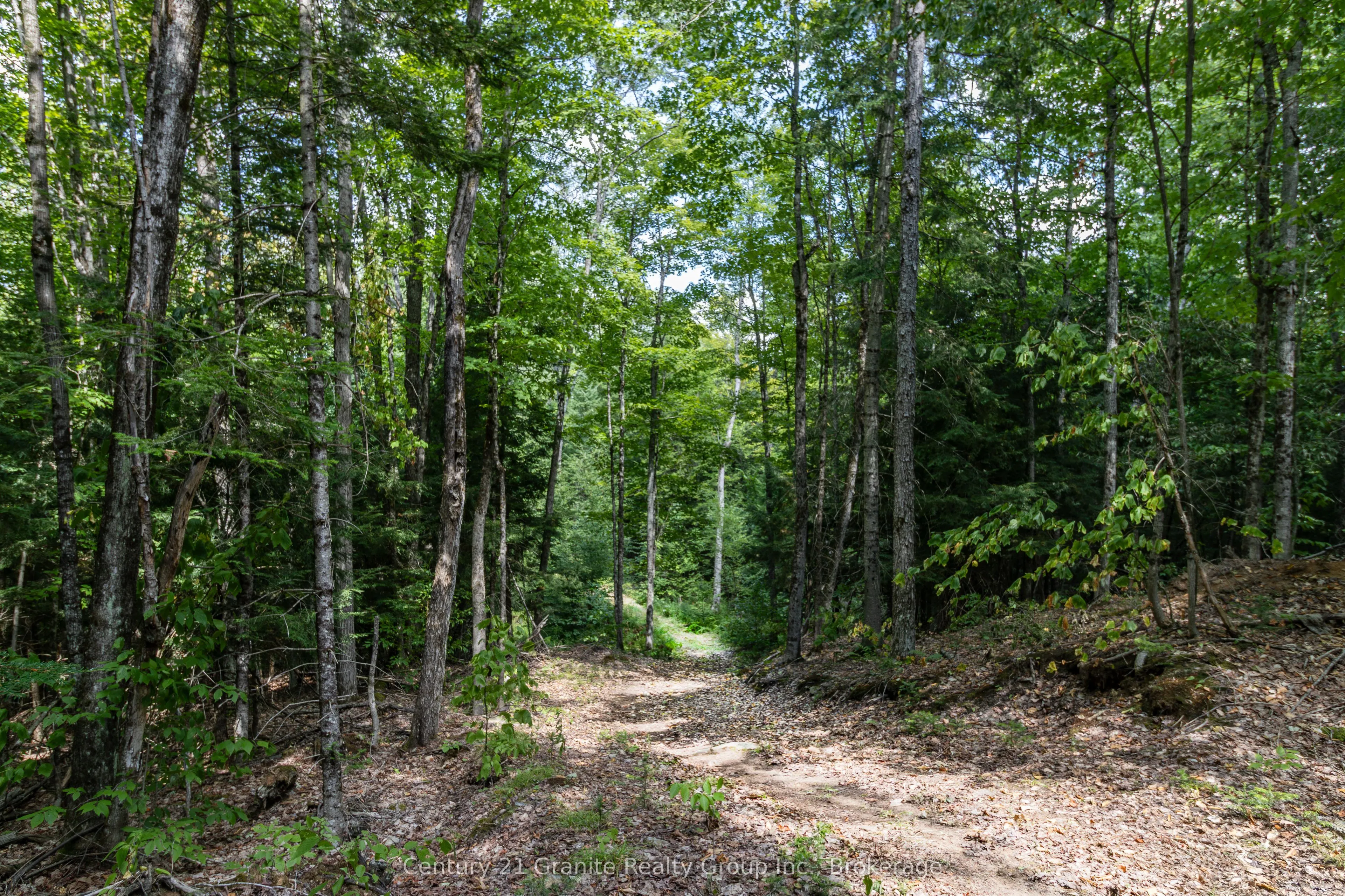 1071 Dardanelles Road