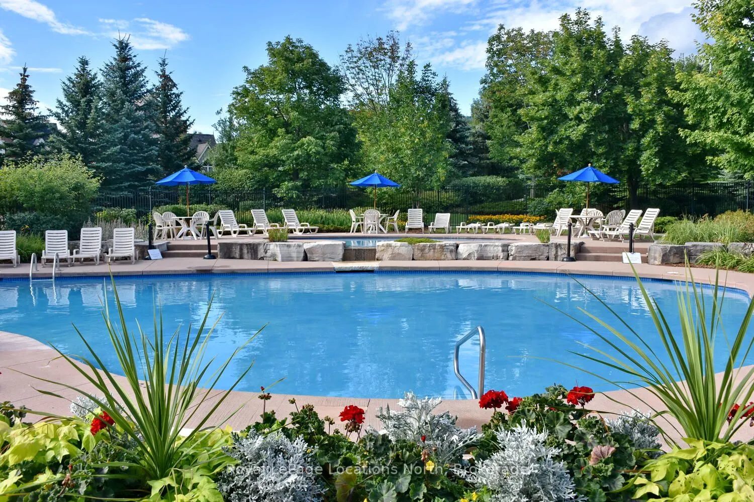 170 Snowbridge Way, #223