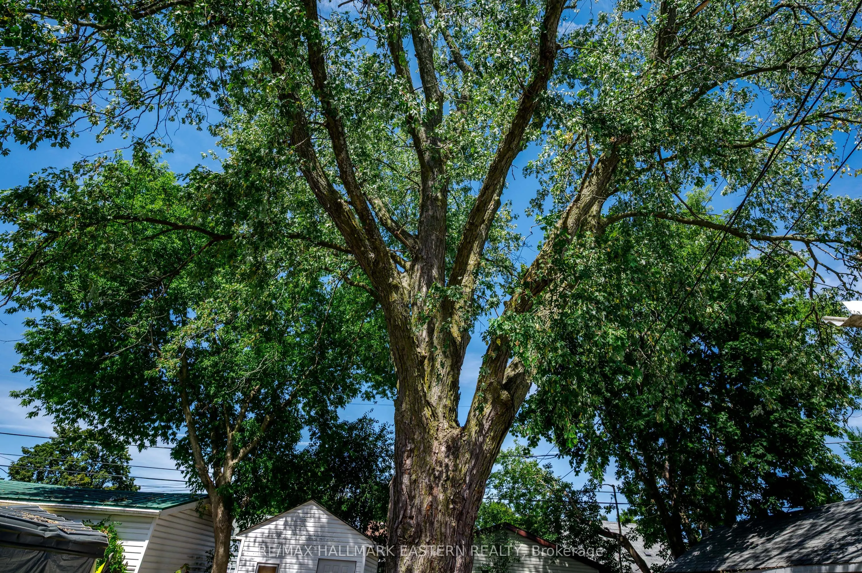 748 New Romaine Street