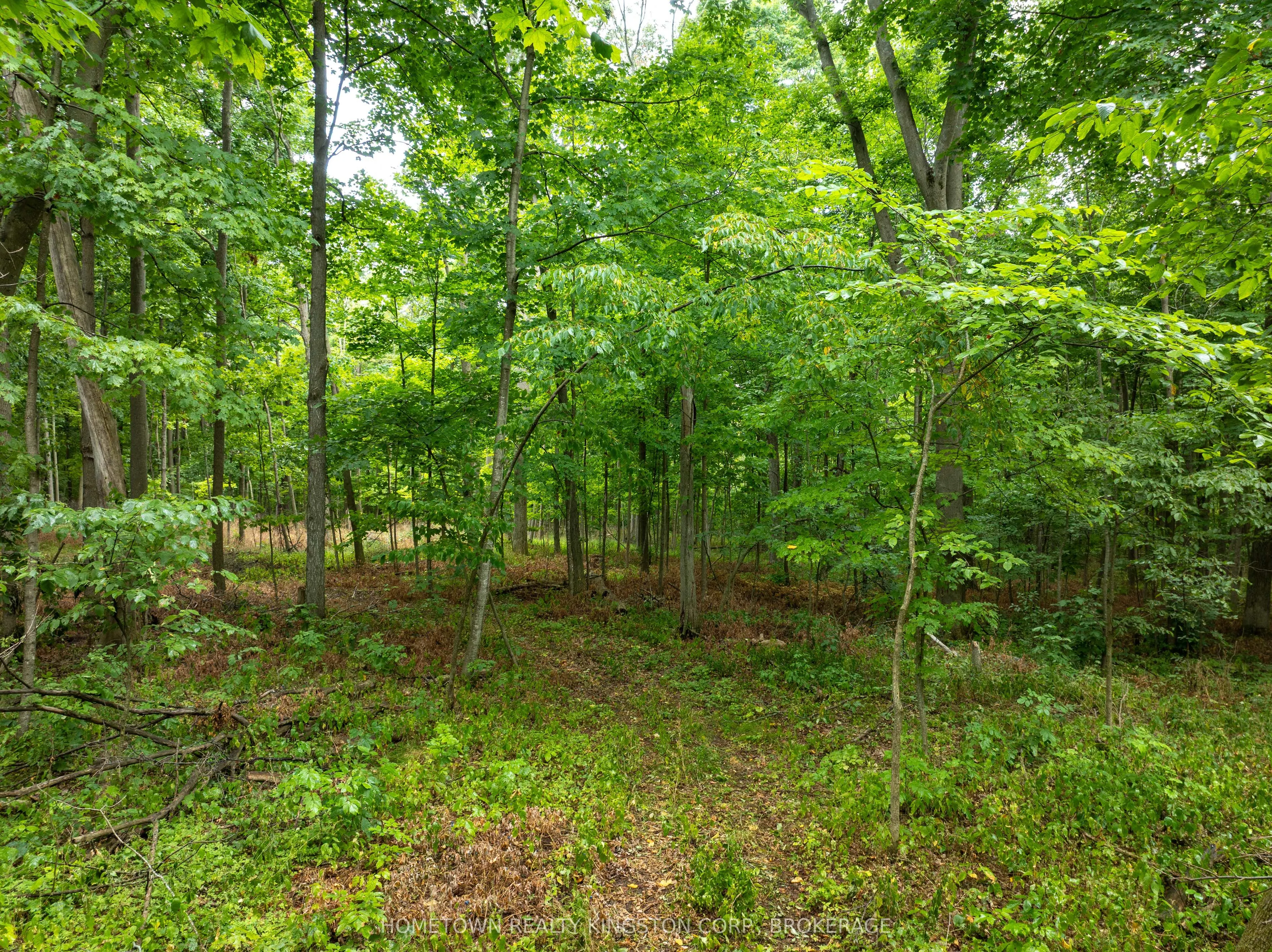 2435 Quabbin Road
