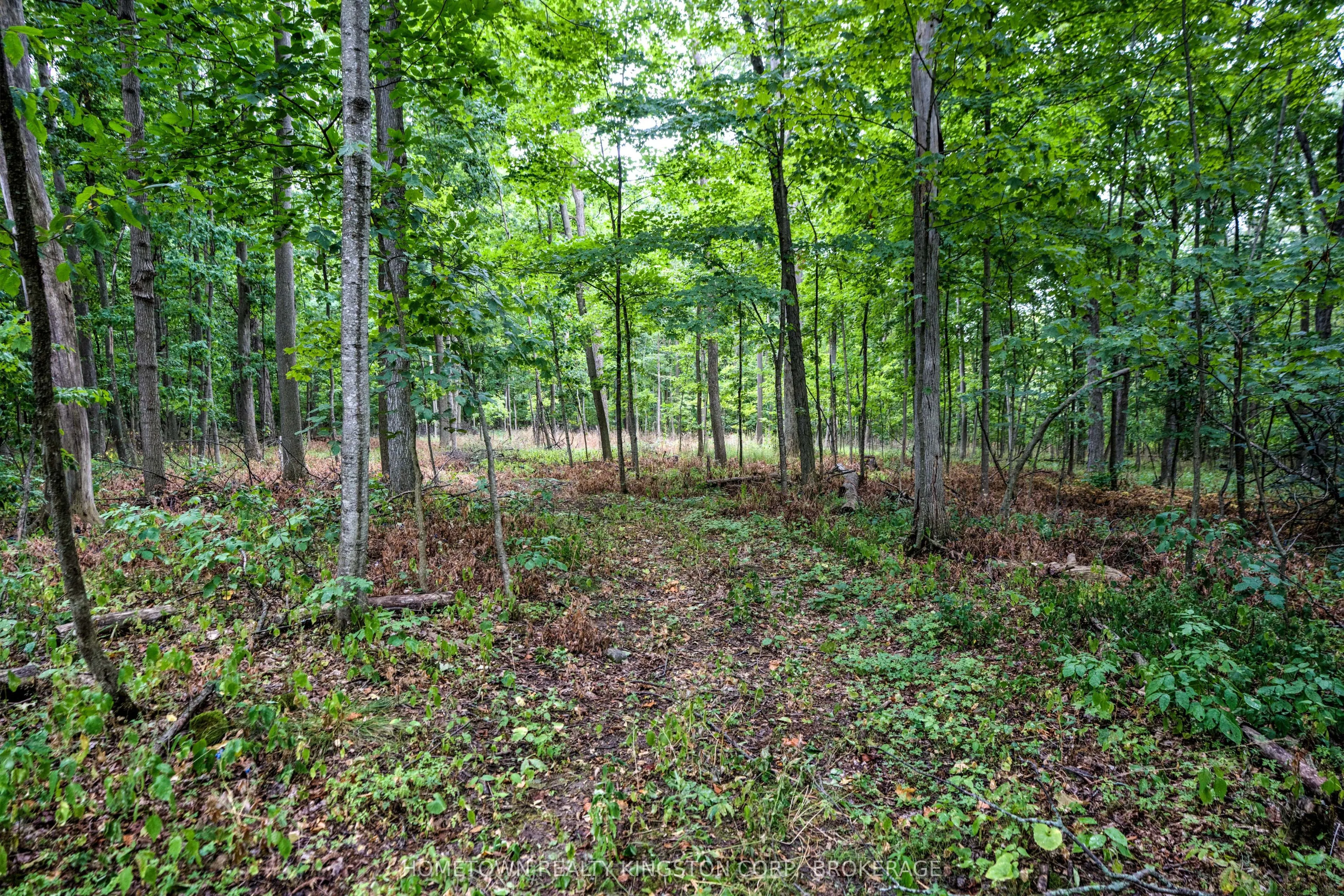 2435 Quabbin Road