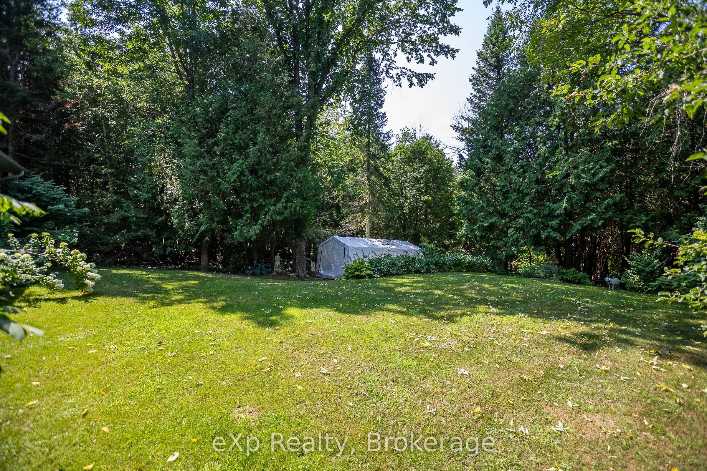 126 Wilson Drive