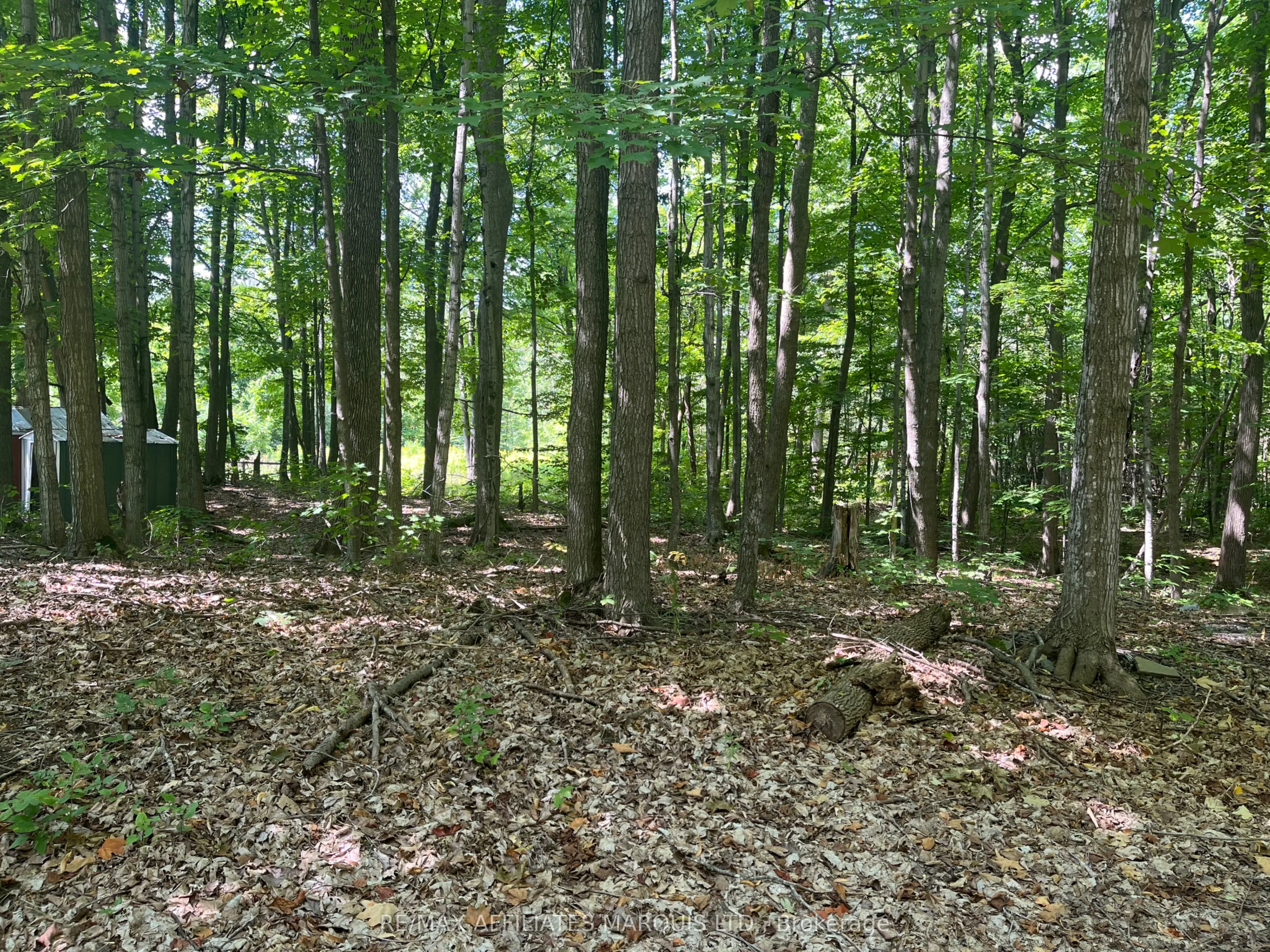 4960 County Rd 34 Road
