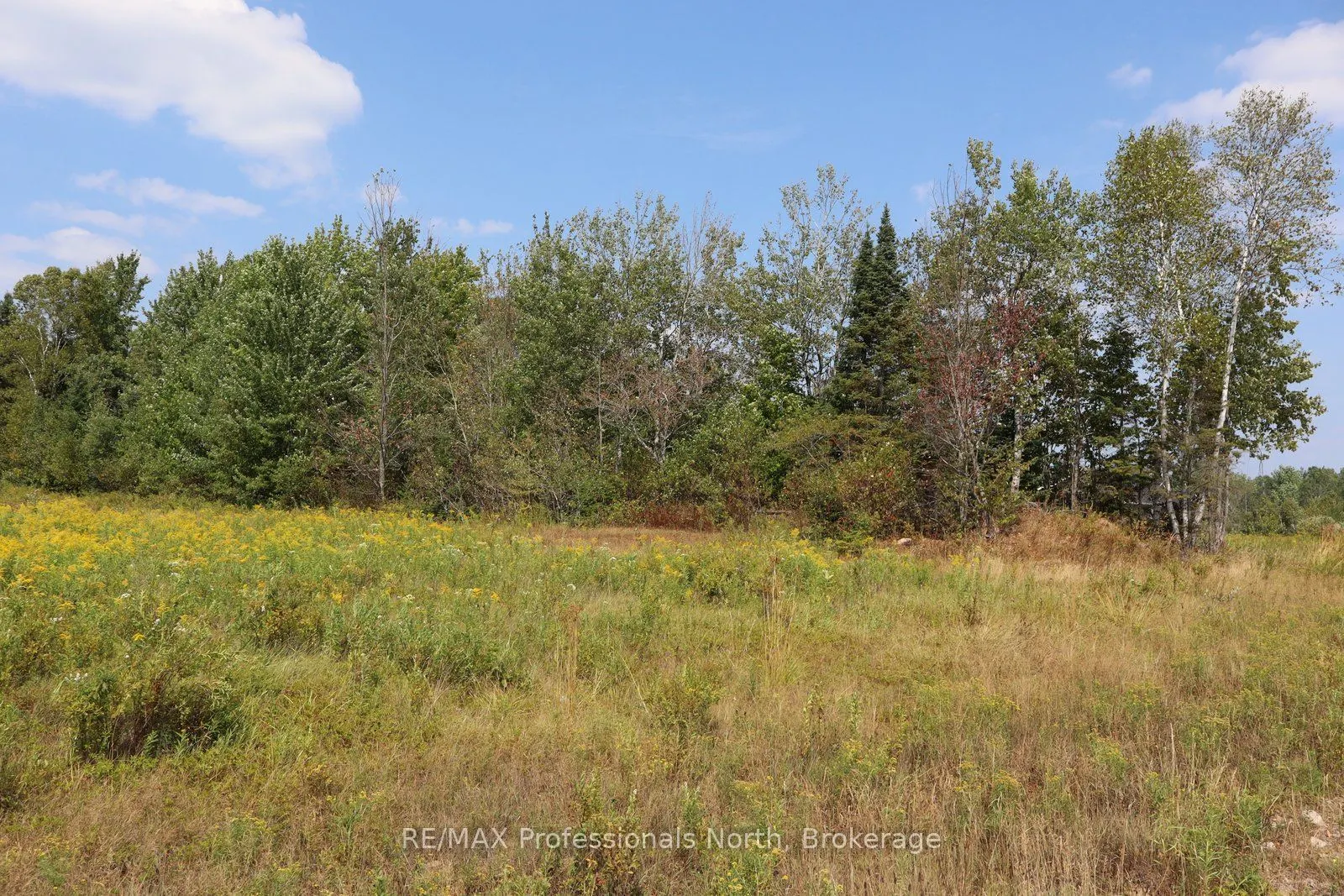 1042 Piper Glen Road