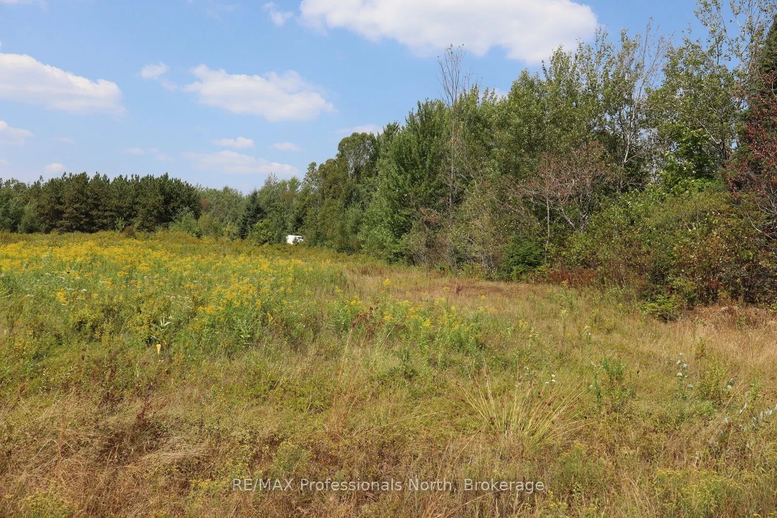 1042 Piper Glen Road