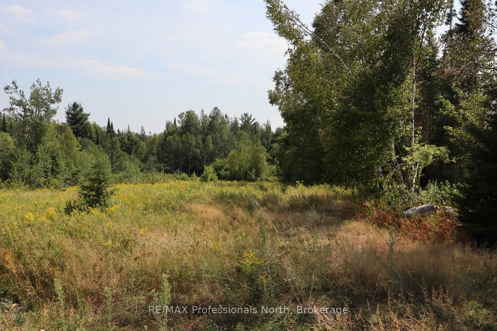 1043 Piper Glen Road