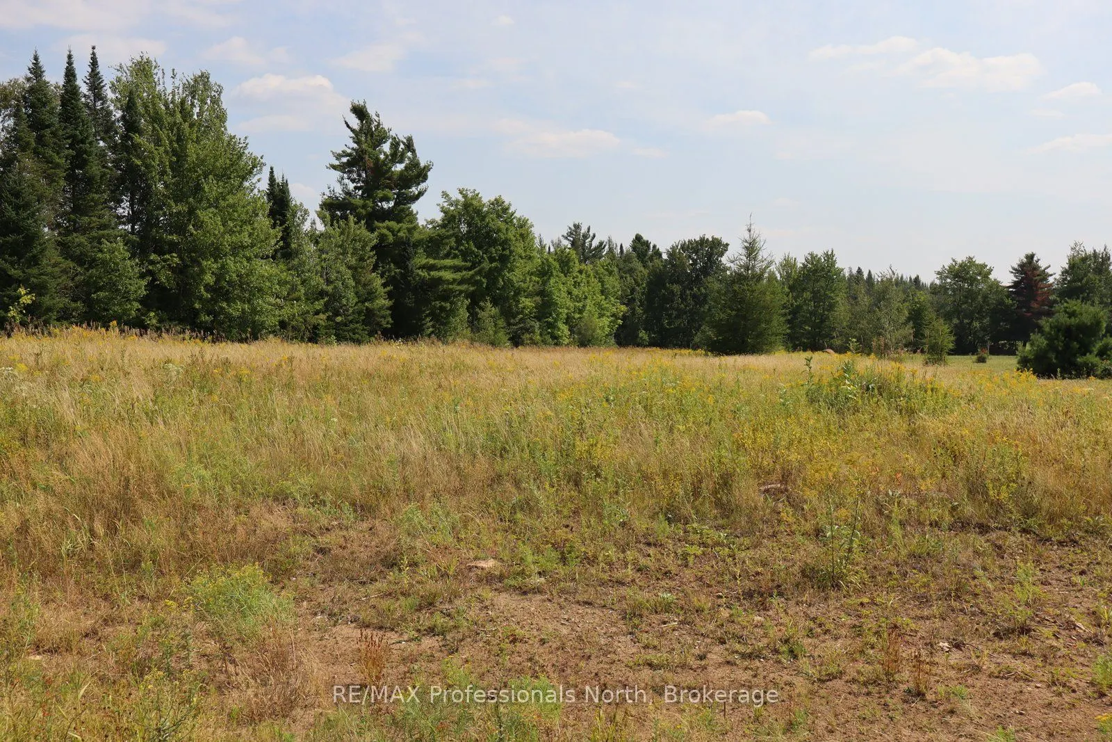 1043 Piper Glen Road