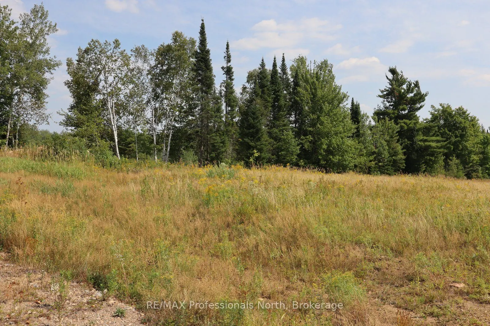1043 Piper Glen Road