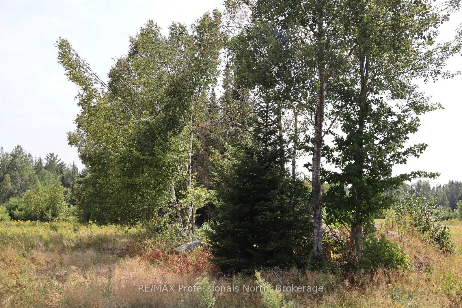 1043 Piper Glen Road