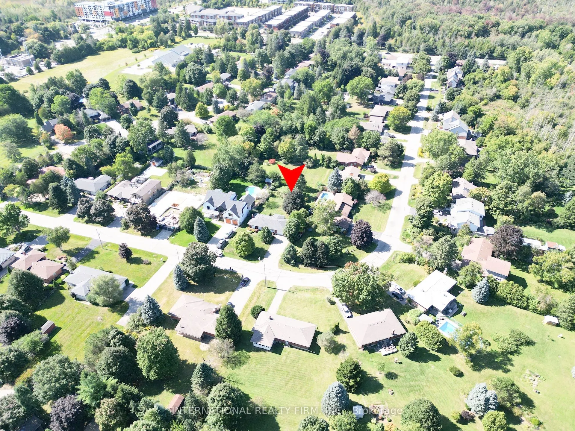 33 Ridgeway Avenue