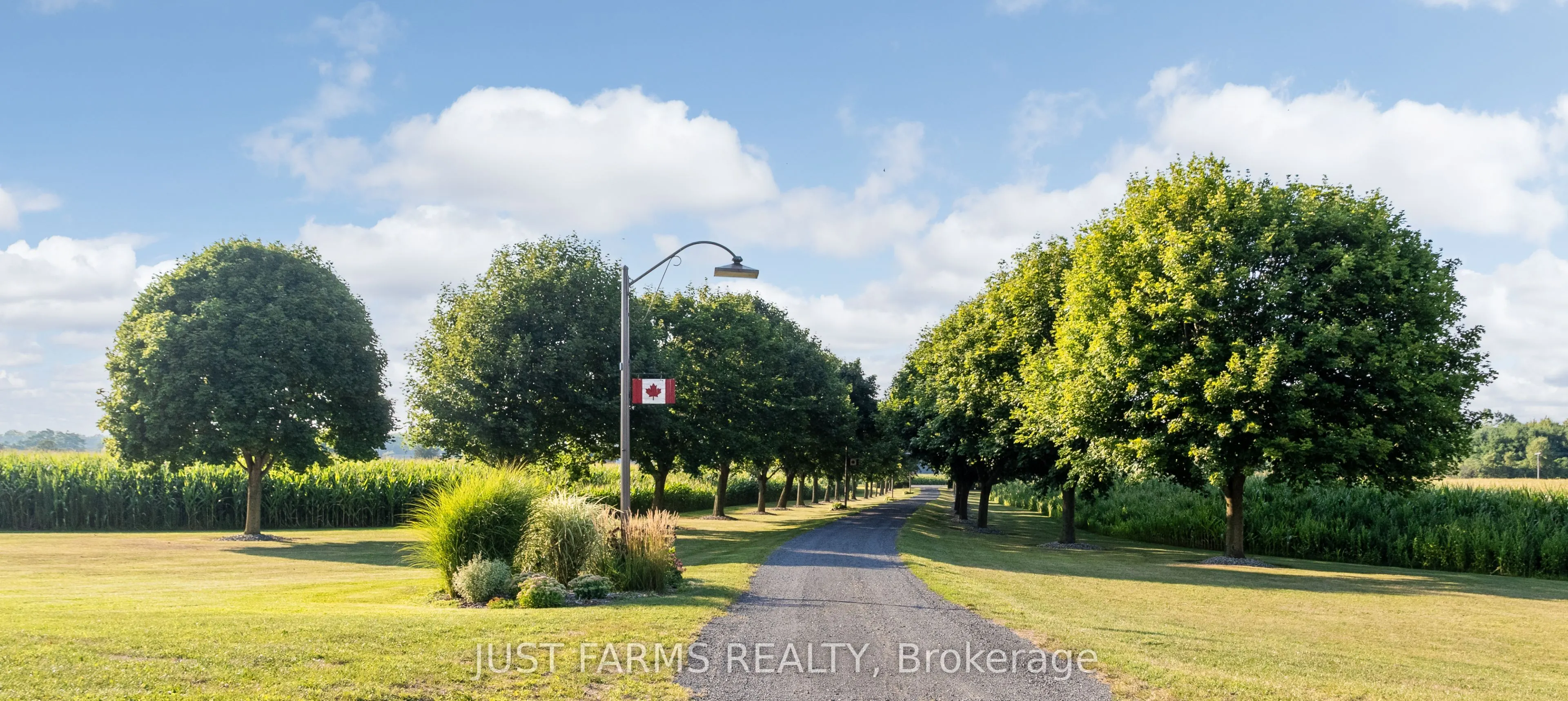 228 Charlotteville Road