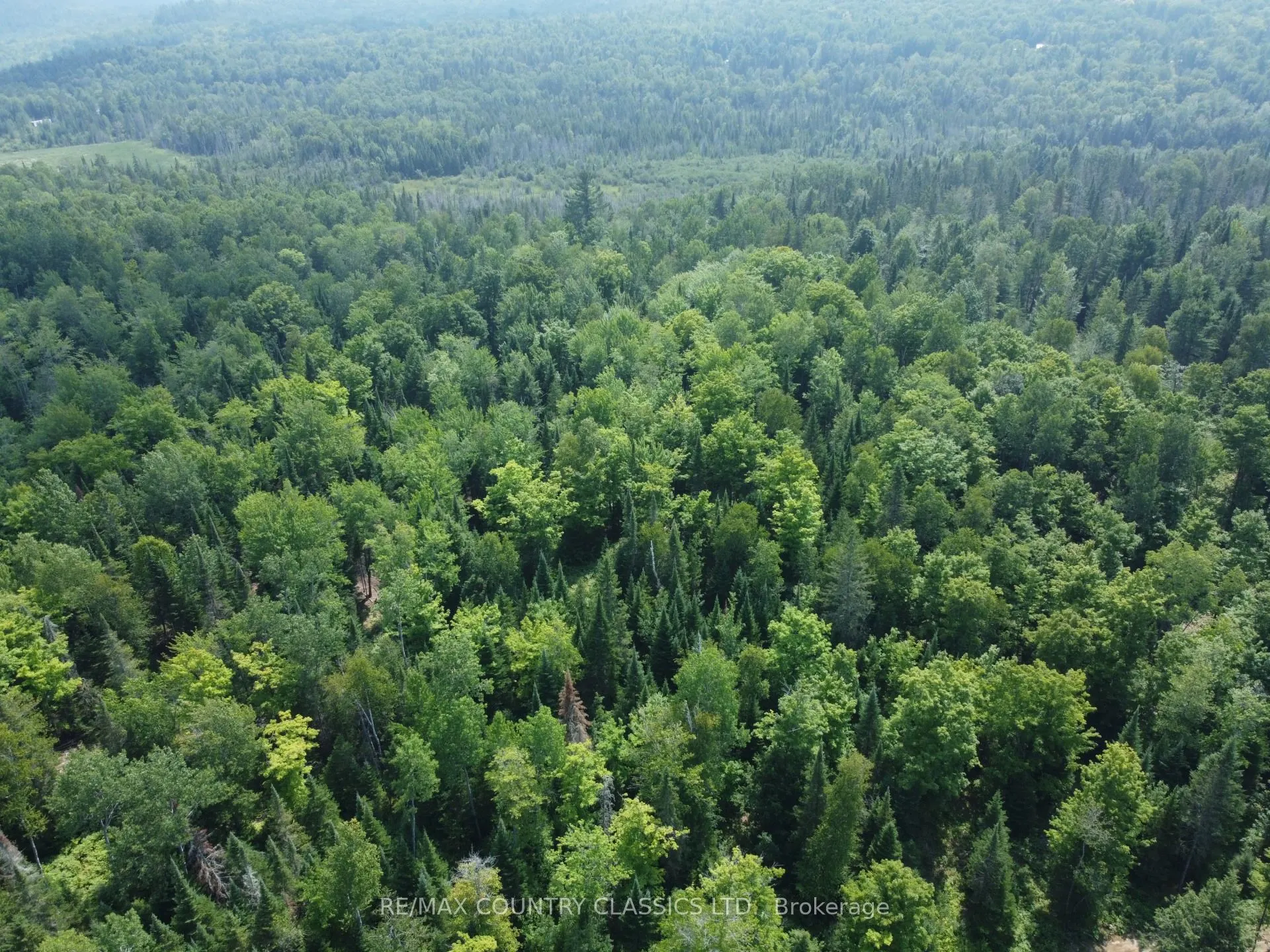 000 Babinski Road
