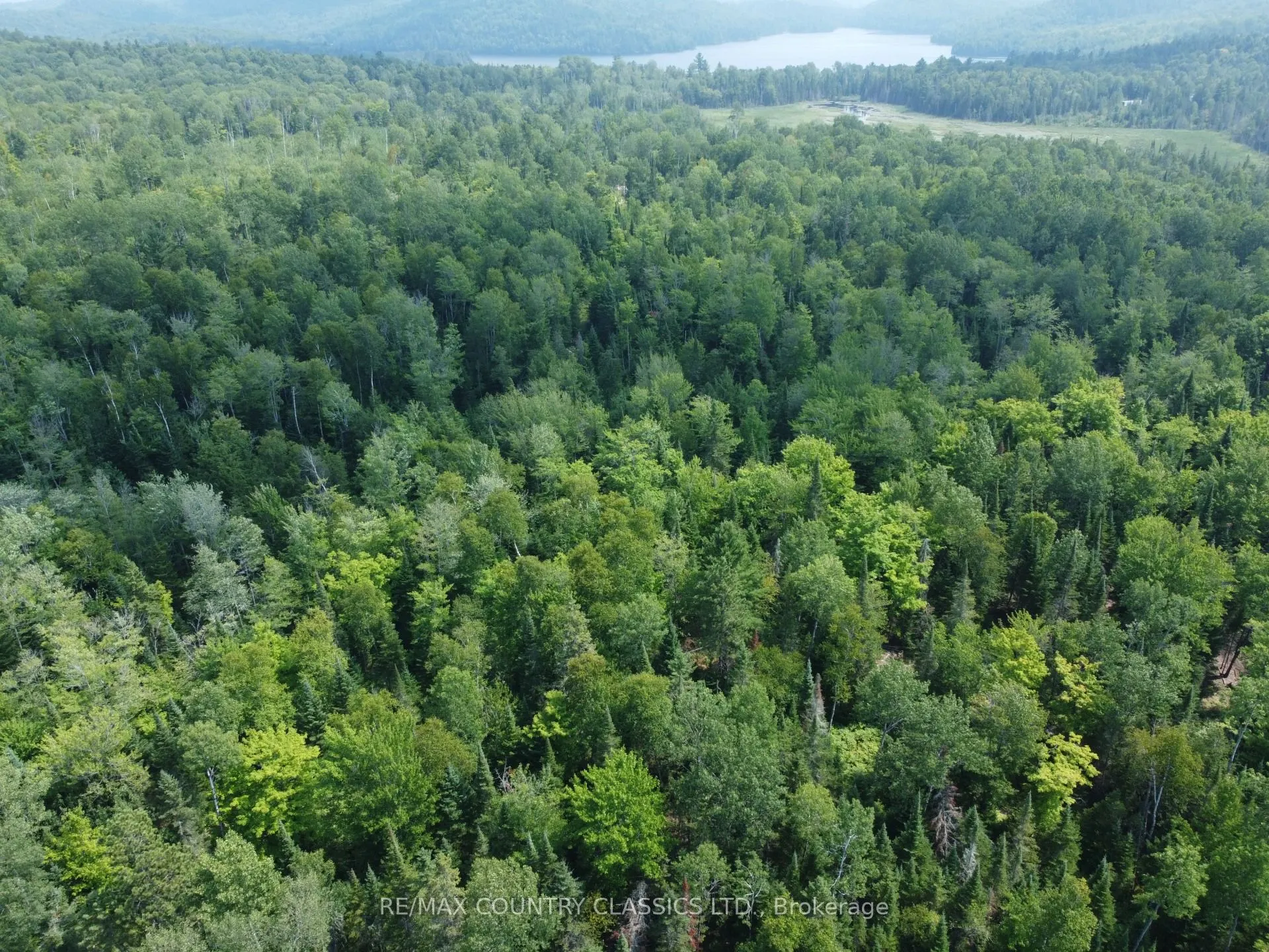 000 Babinski Road