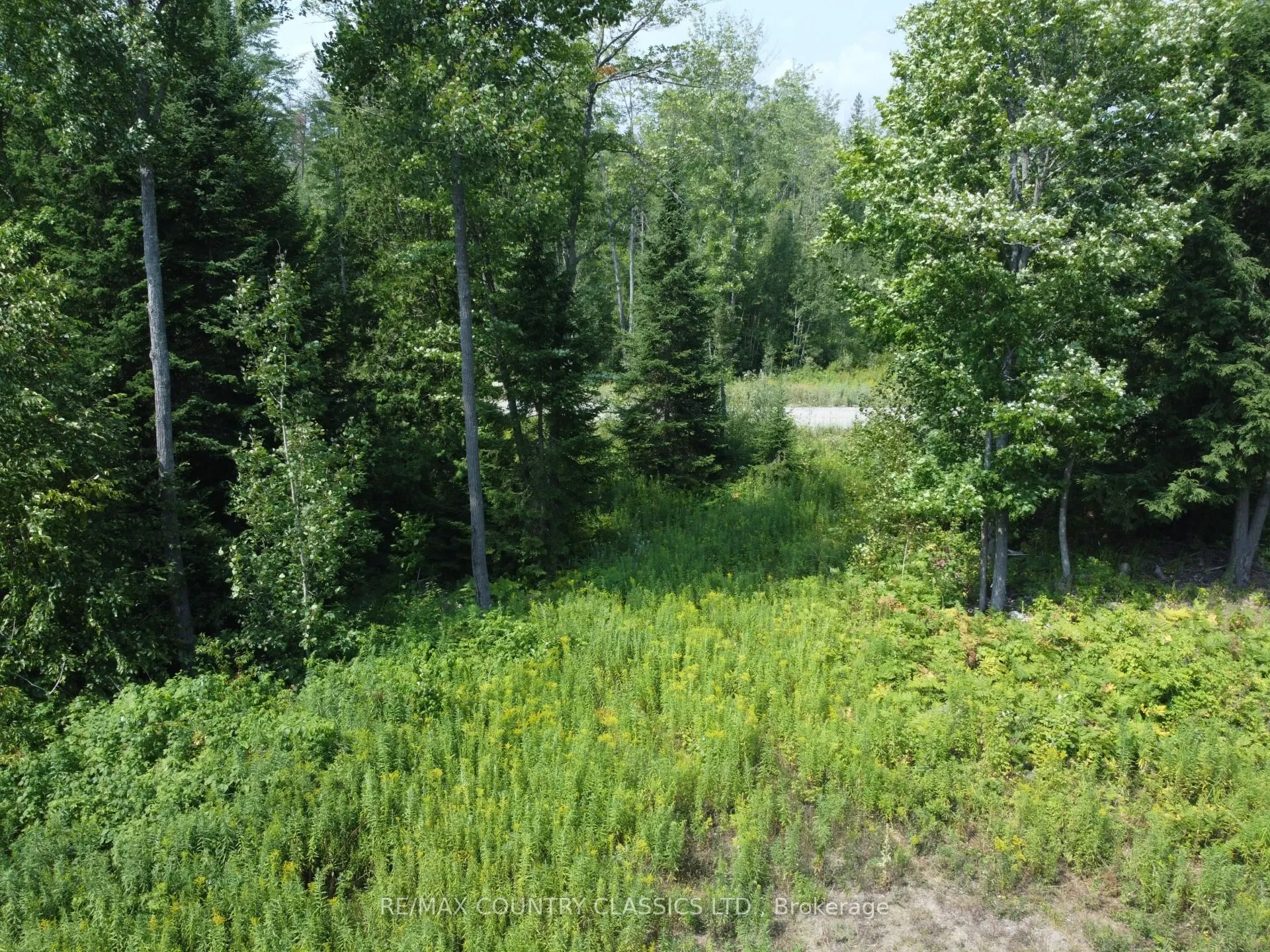 000 Babinski Road