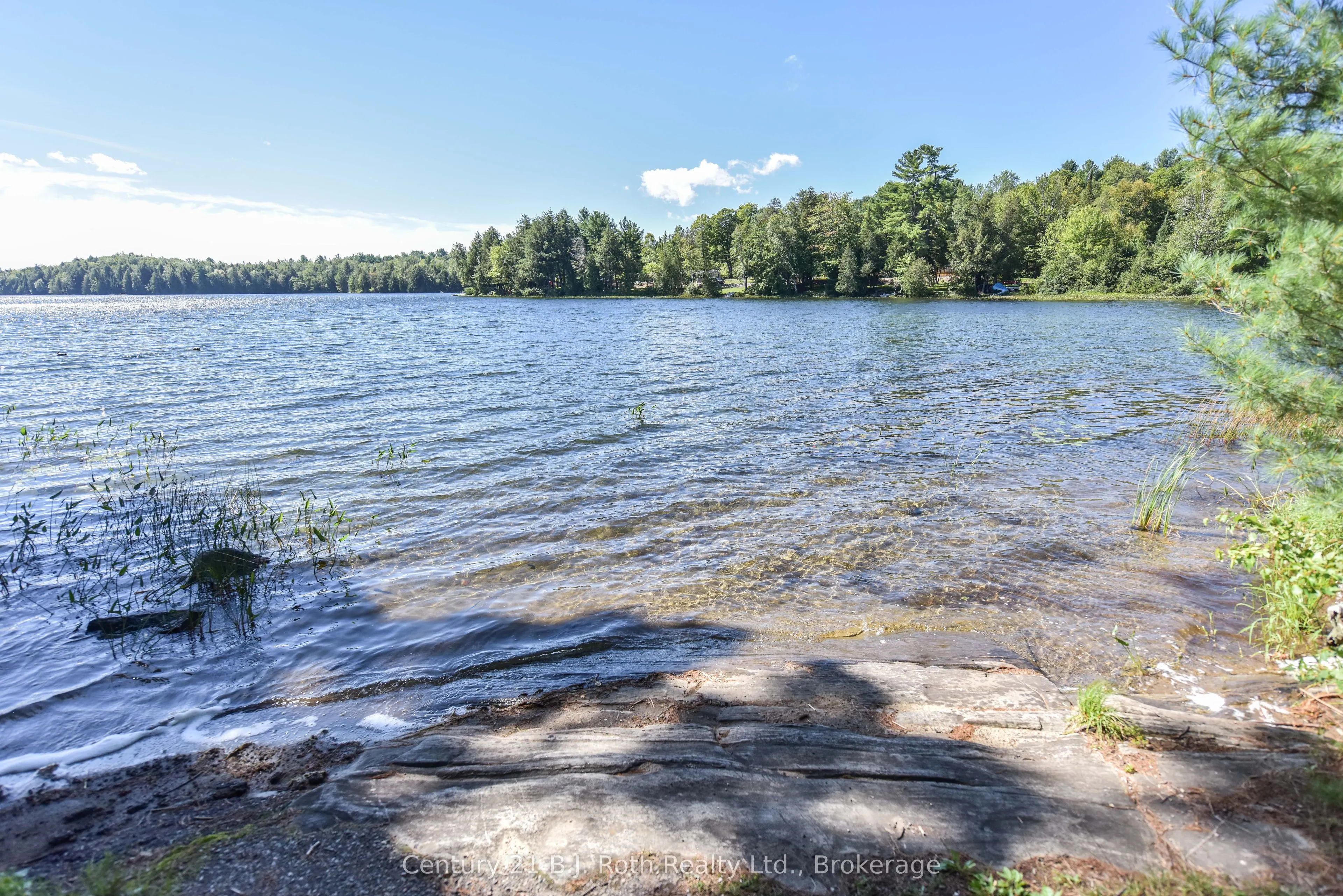 1047 Bonnie Lake Camp Road, #804