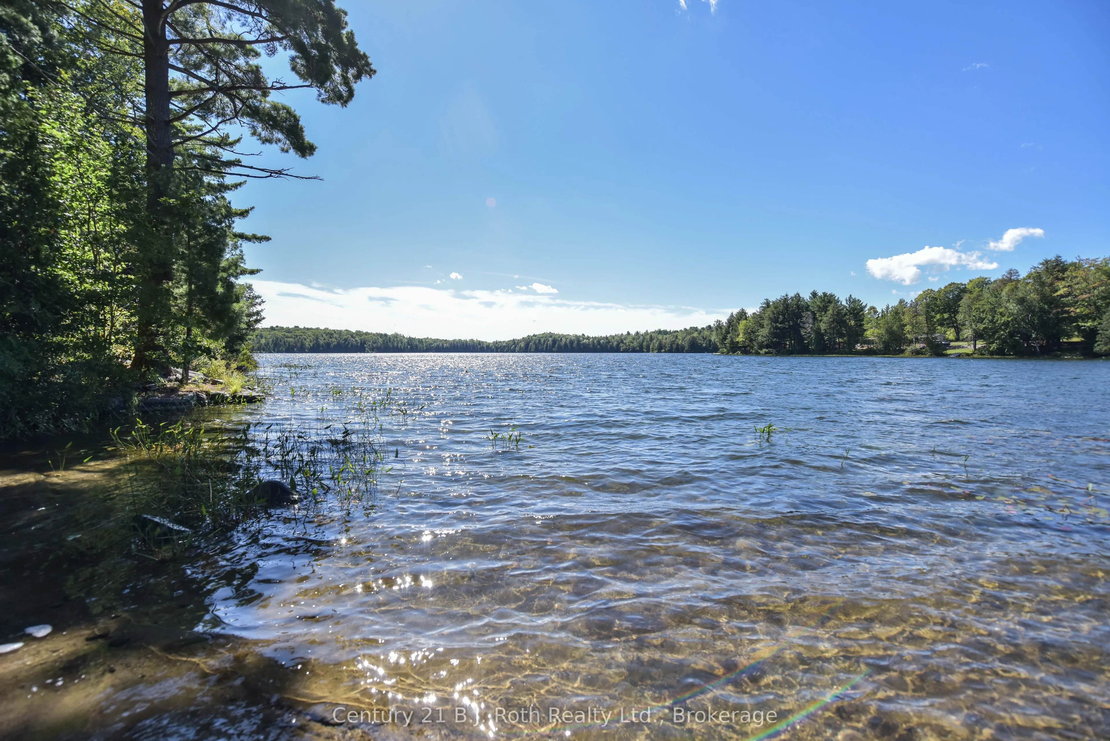 1047 Bonnie Lake Camp Road, #804