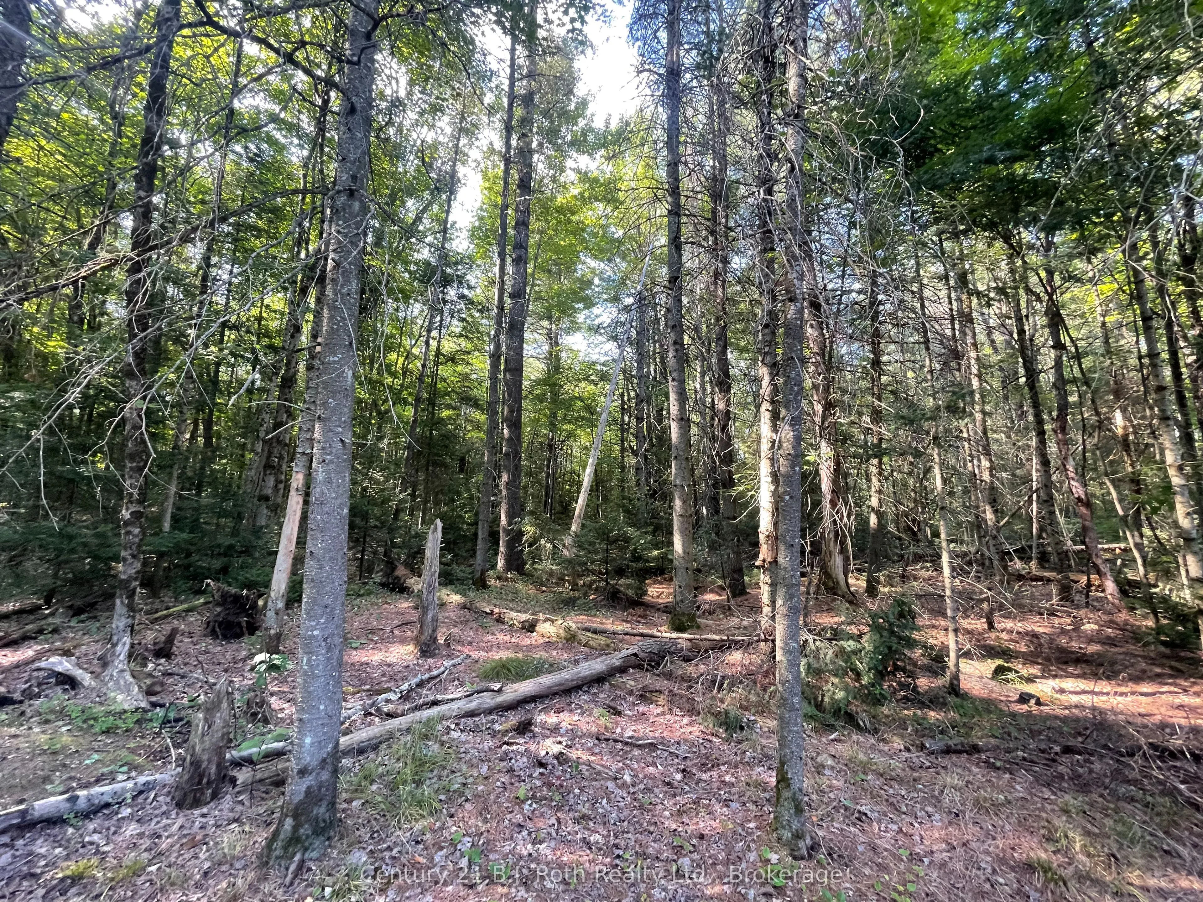 1047 Bonnie Lake Camp Road, #804
