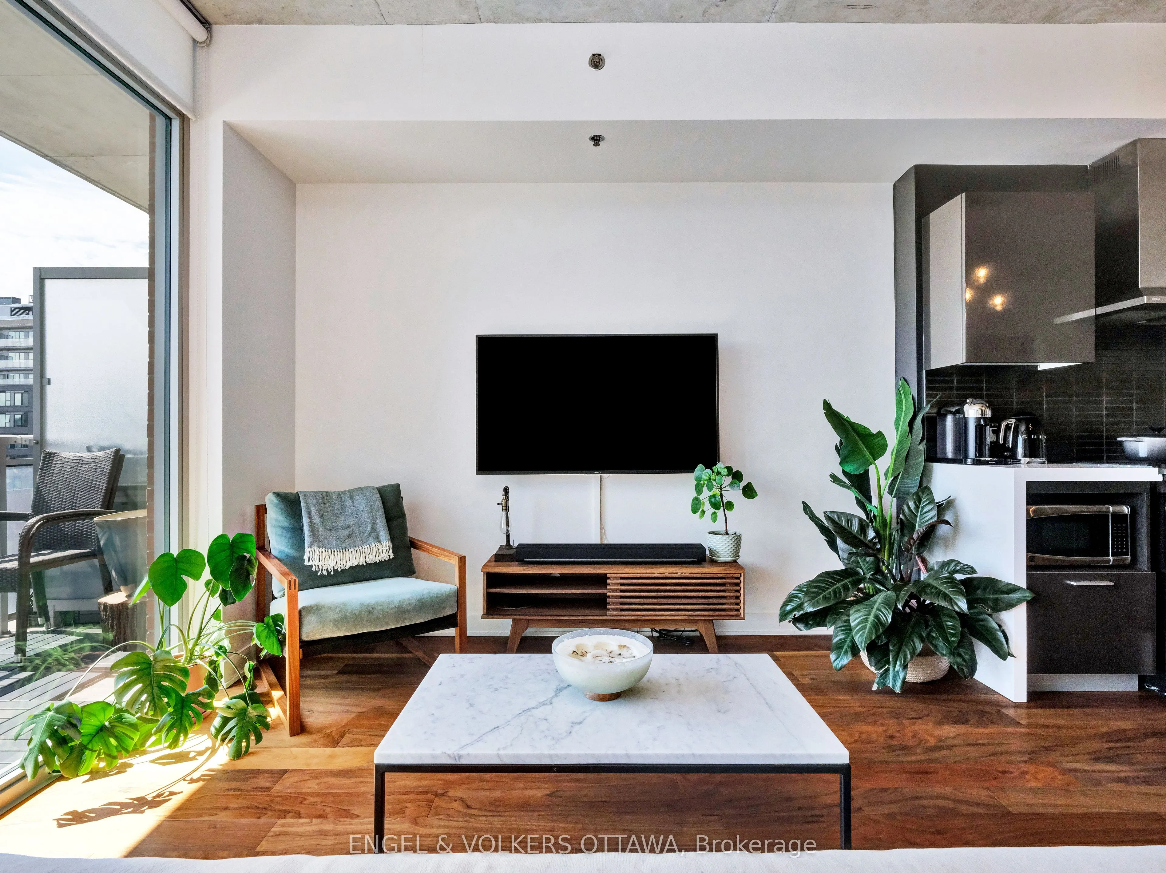 360 McLeod Street, #516