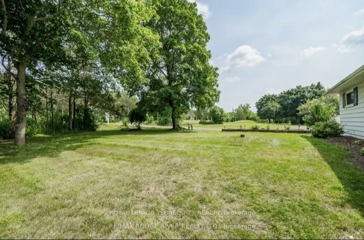 970 COUNTY RD 38