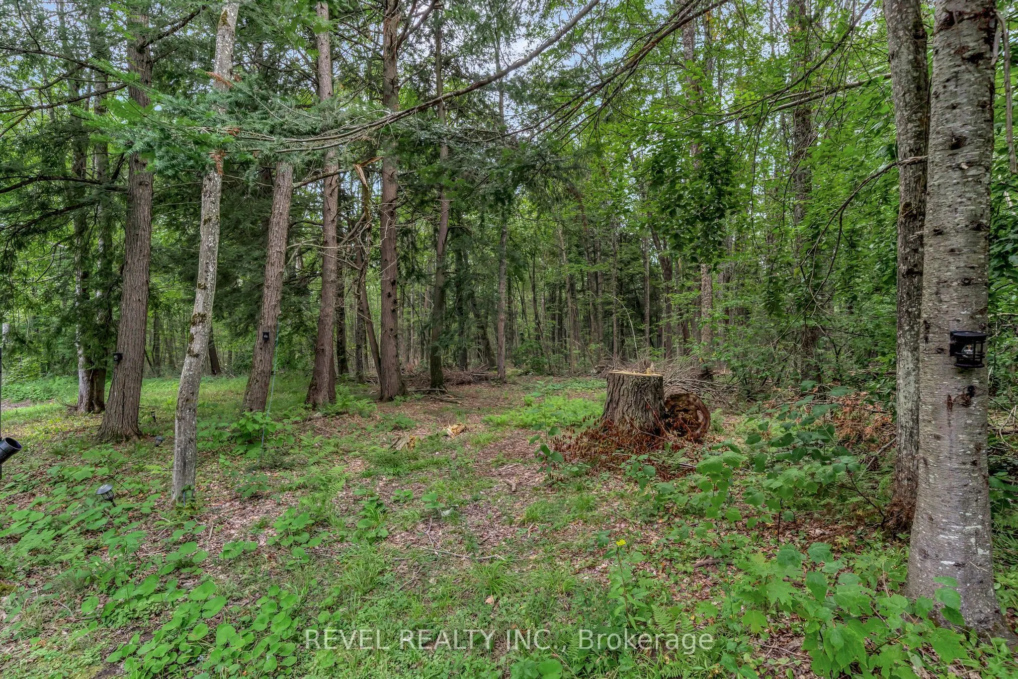 3515 County Rd 121 Road