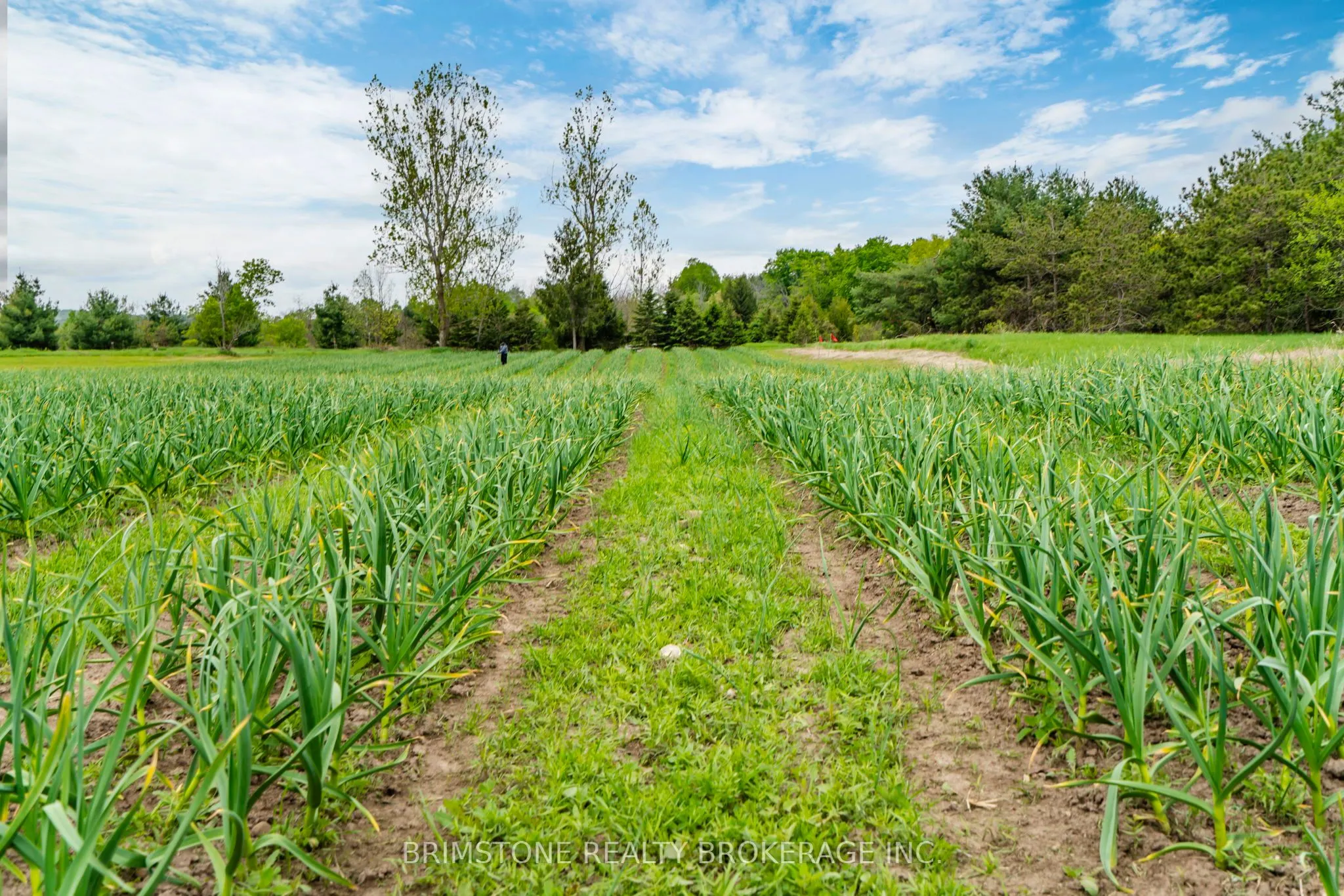 936488 Dufferin County Road 18 Road