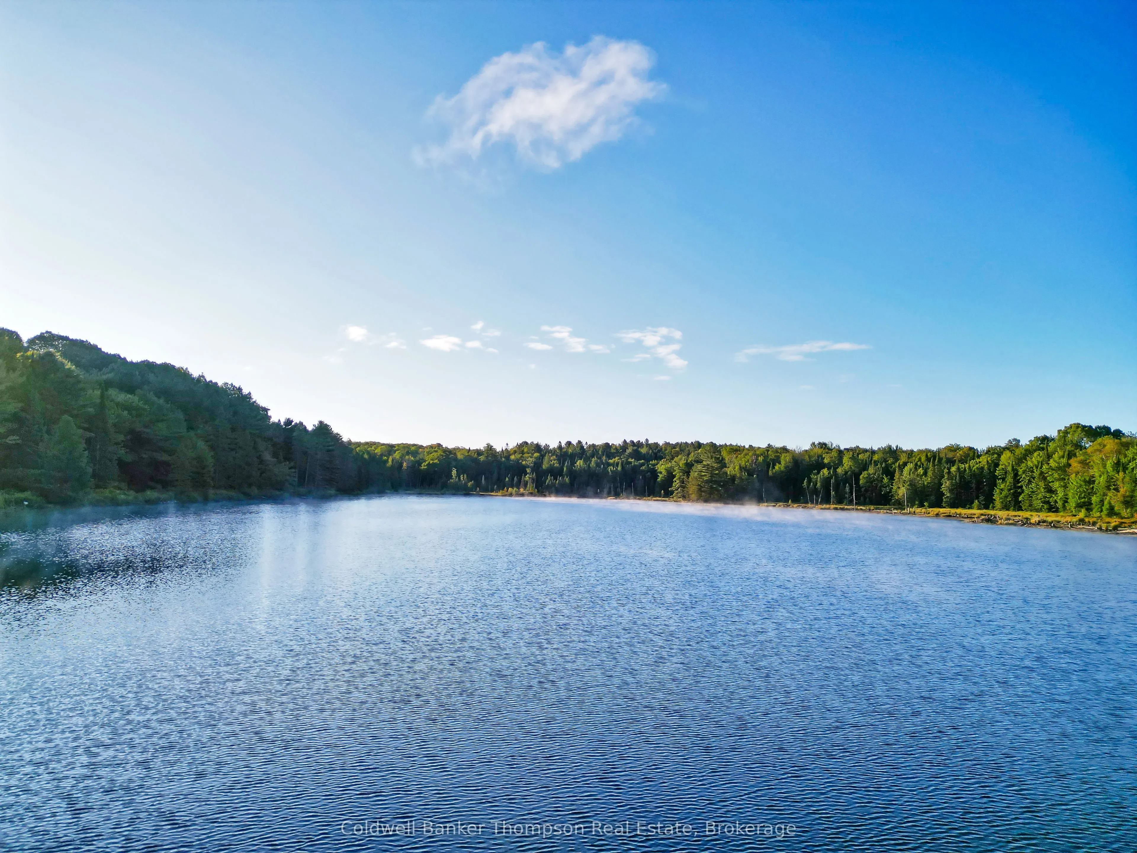 0 Seguin Trail