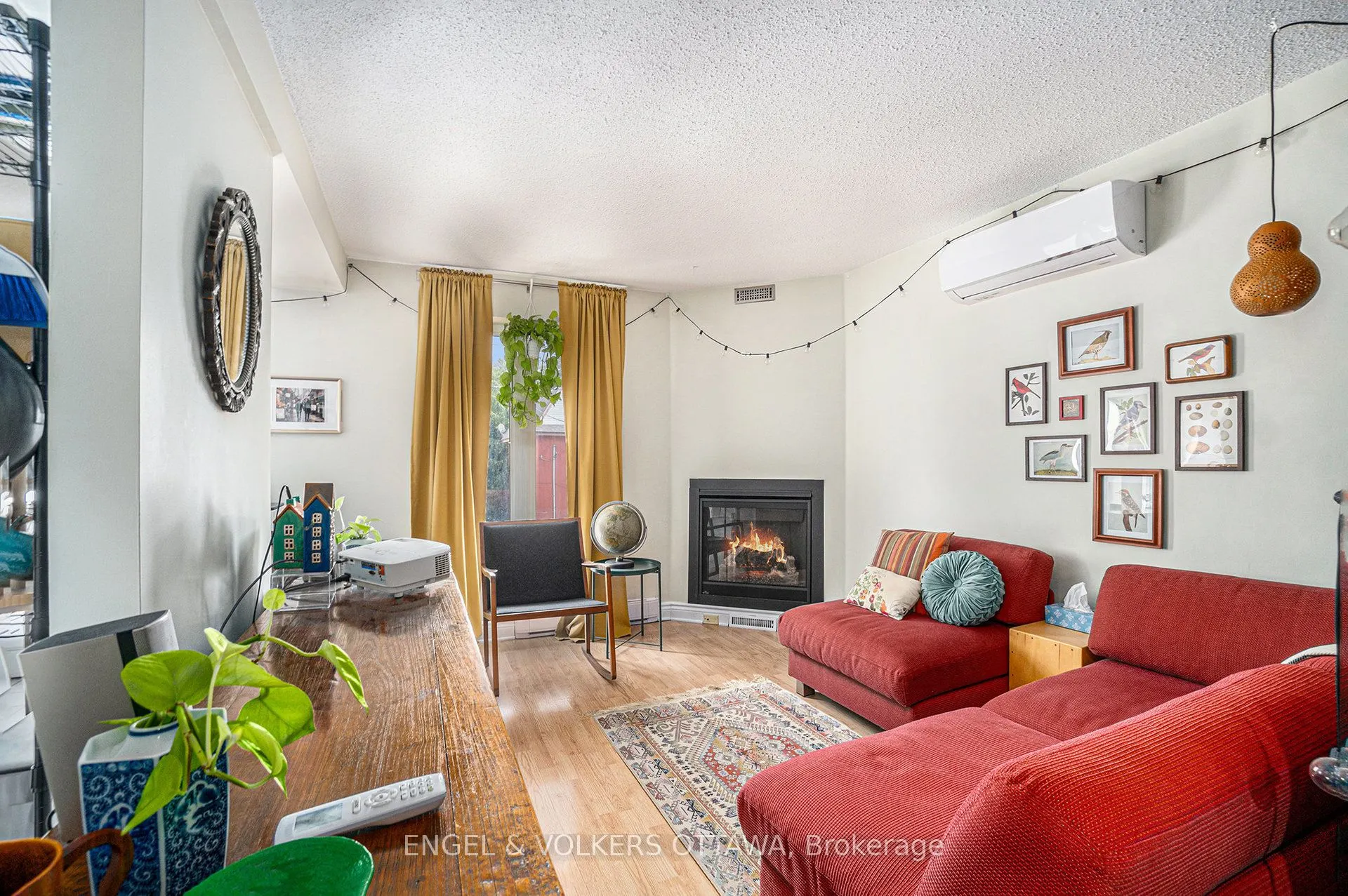 543 Mcleod Street