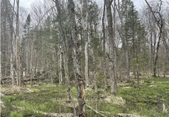 0 Adams Road