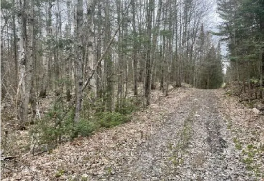 0 Adams Road