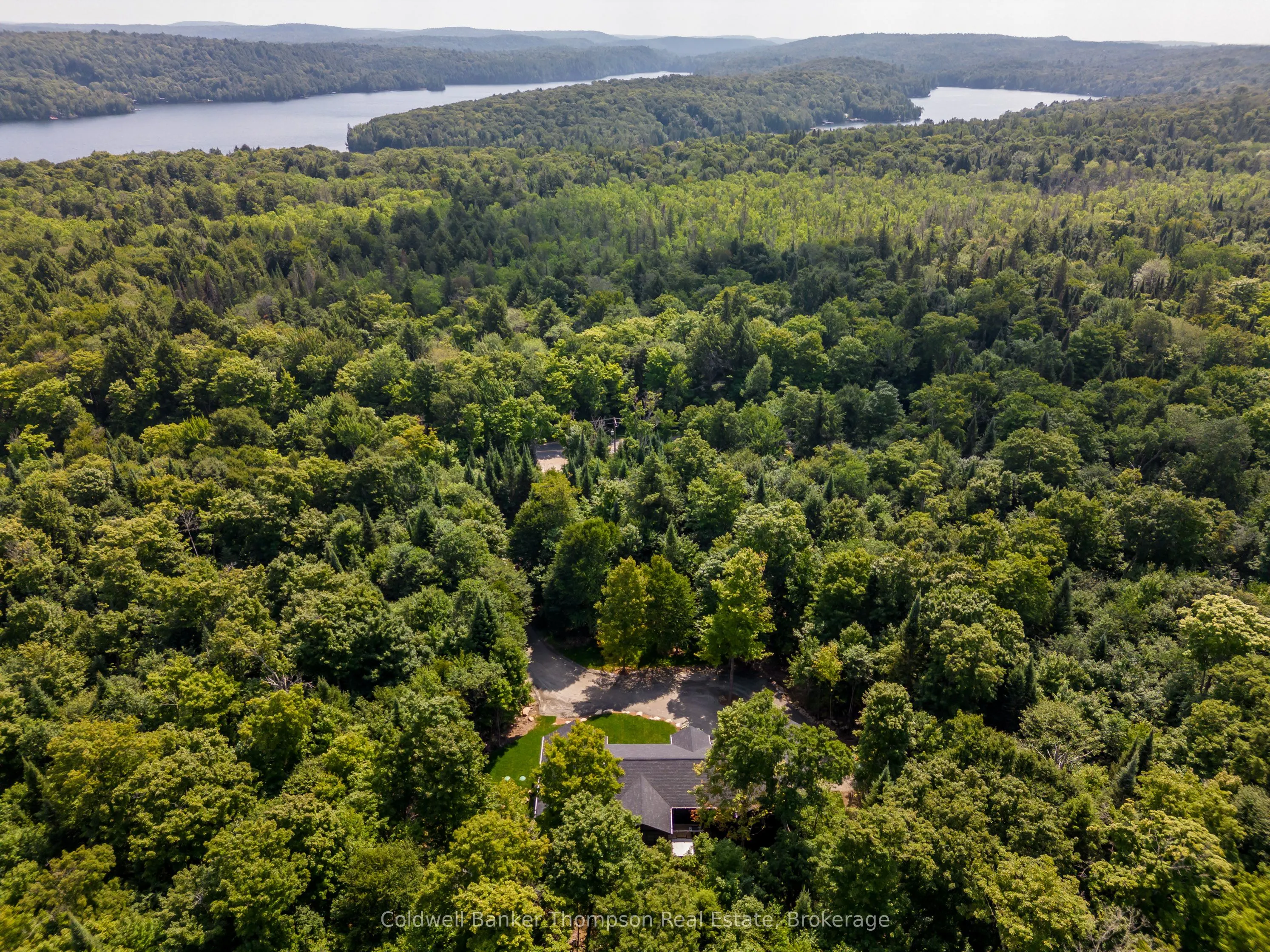 2341 Limberlost Road