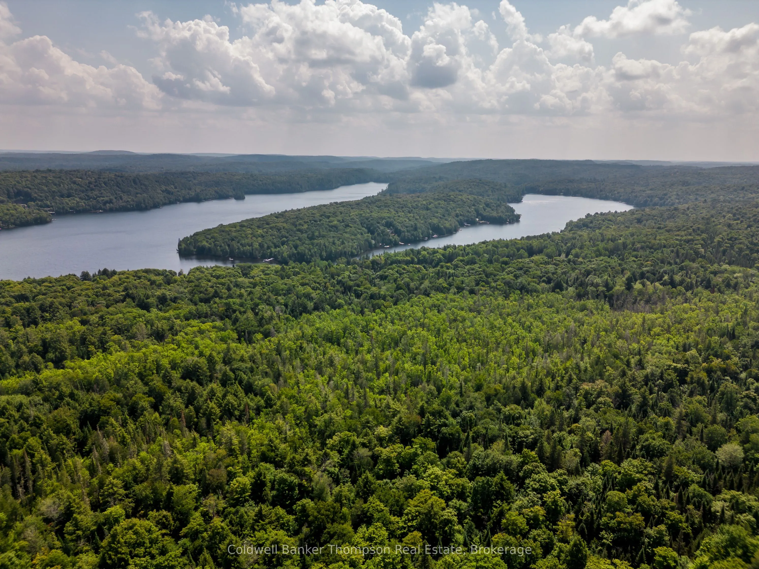 2341 Limberlost Road