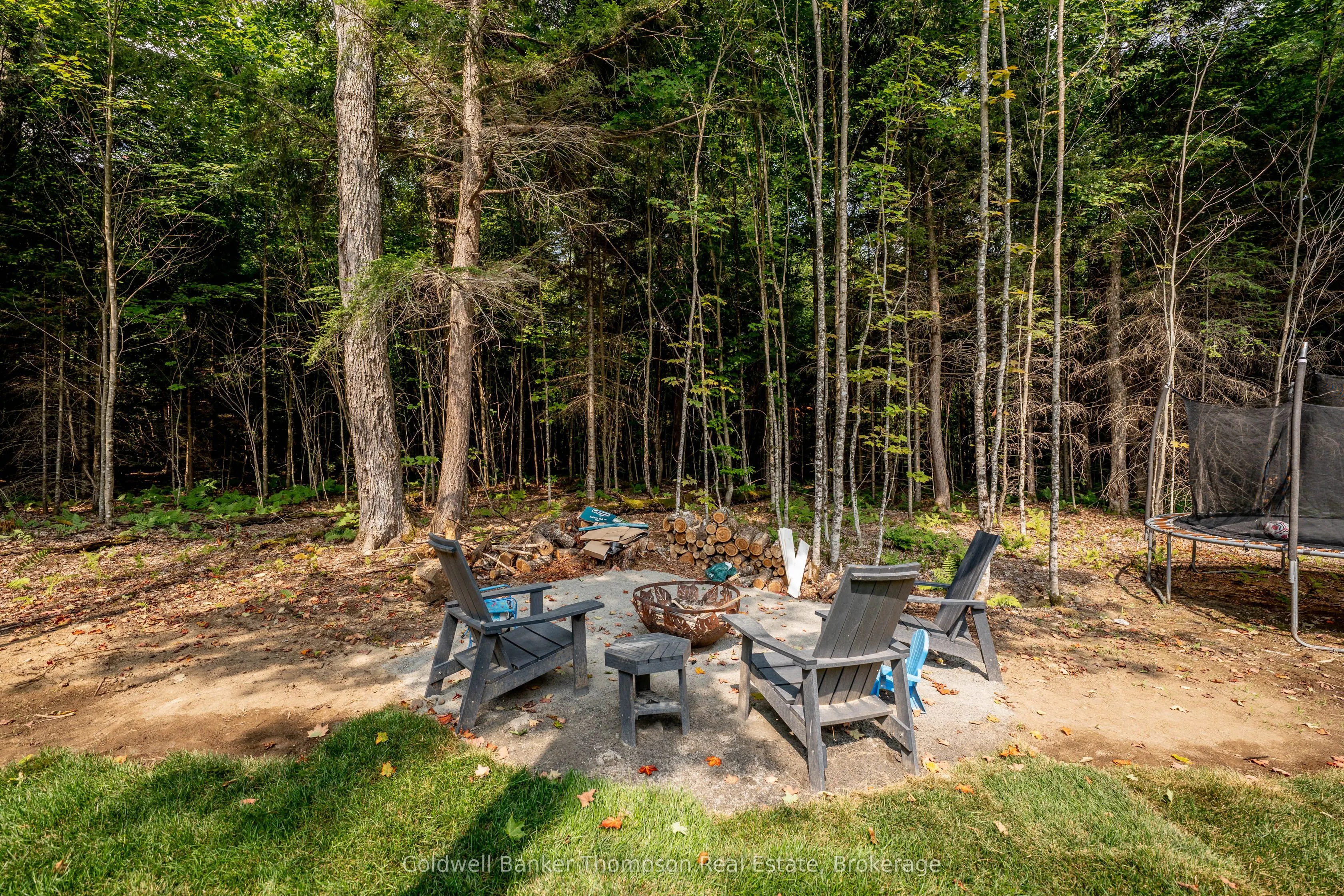 2341 Limberlost Road