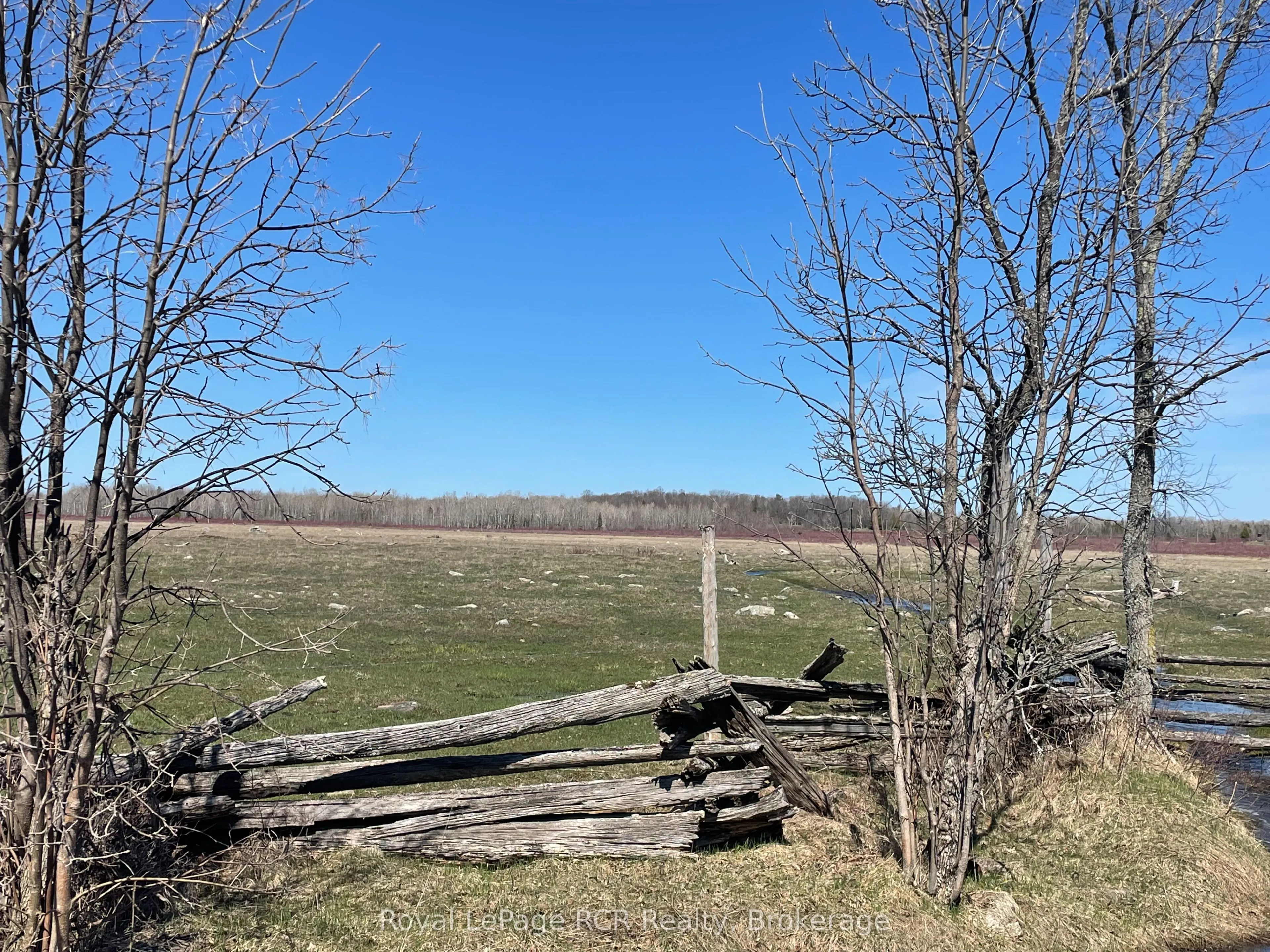 250 Scotch Line Road