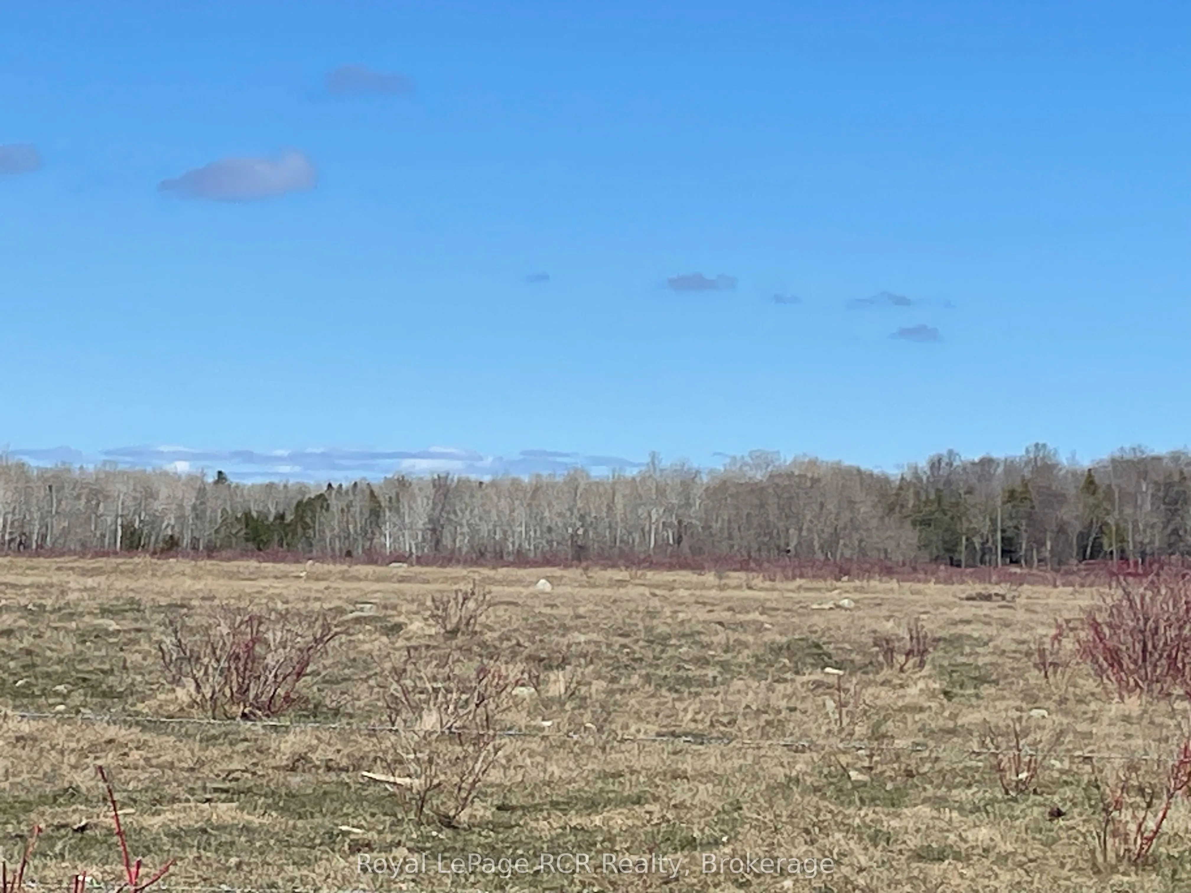 250 Scotch Line Road