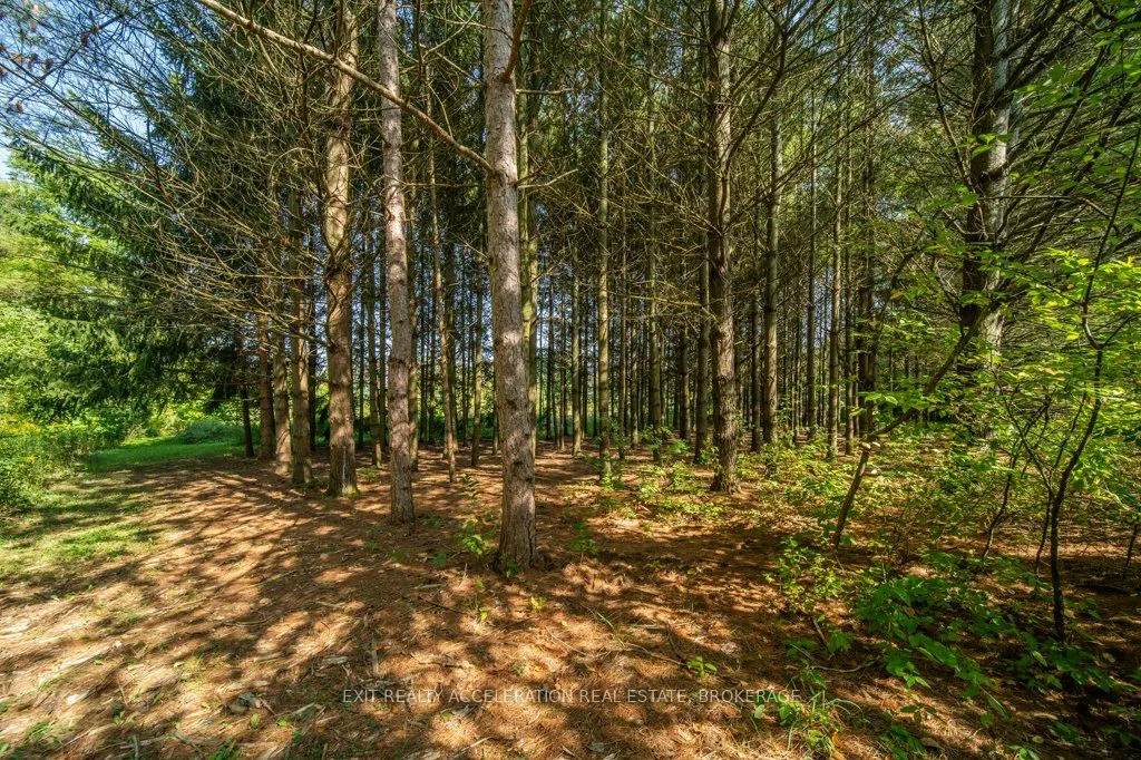 2940 County Road 8