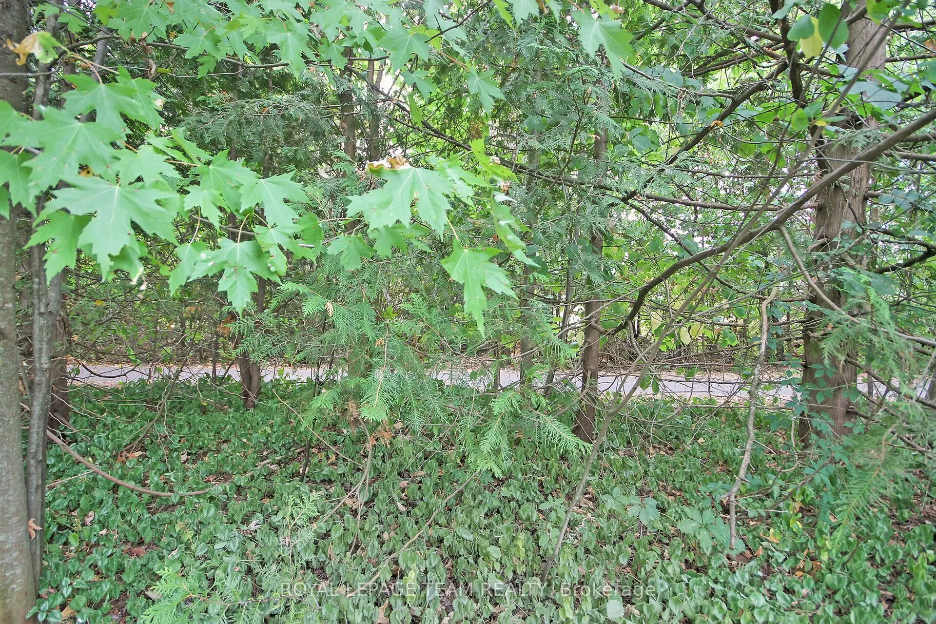 17 Forest Creek Drive