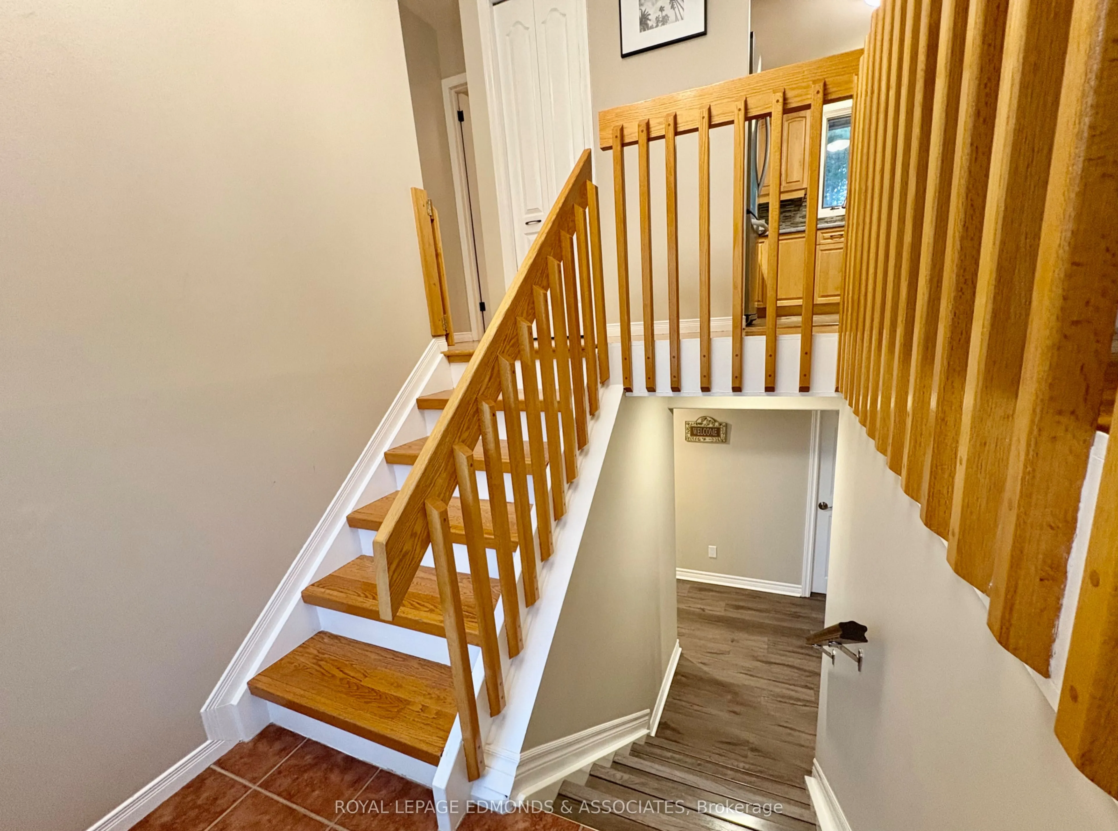 19 Selley Street