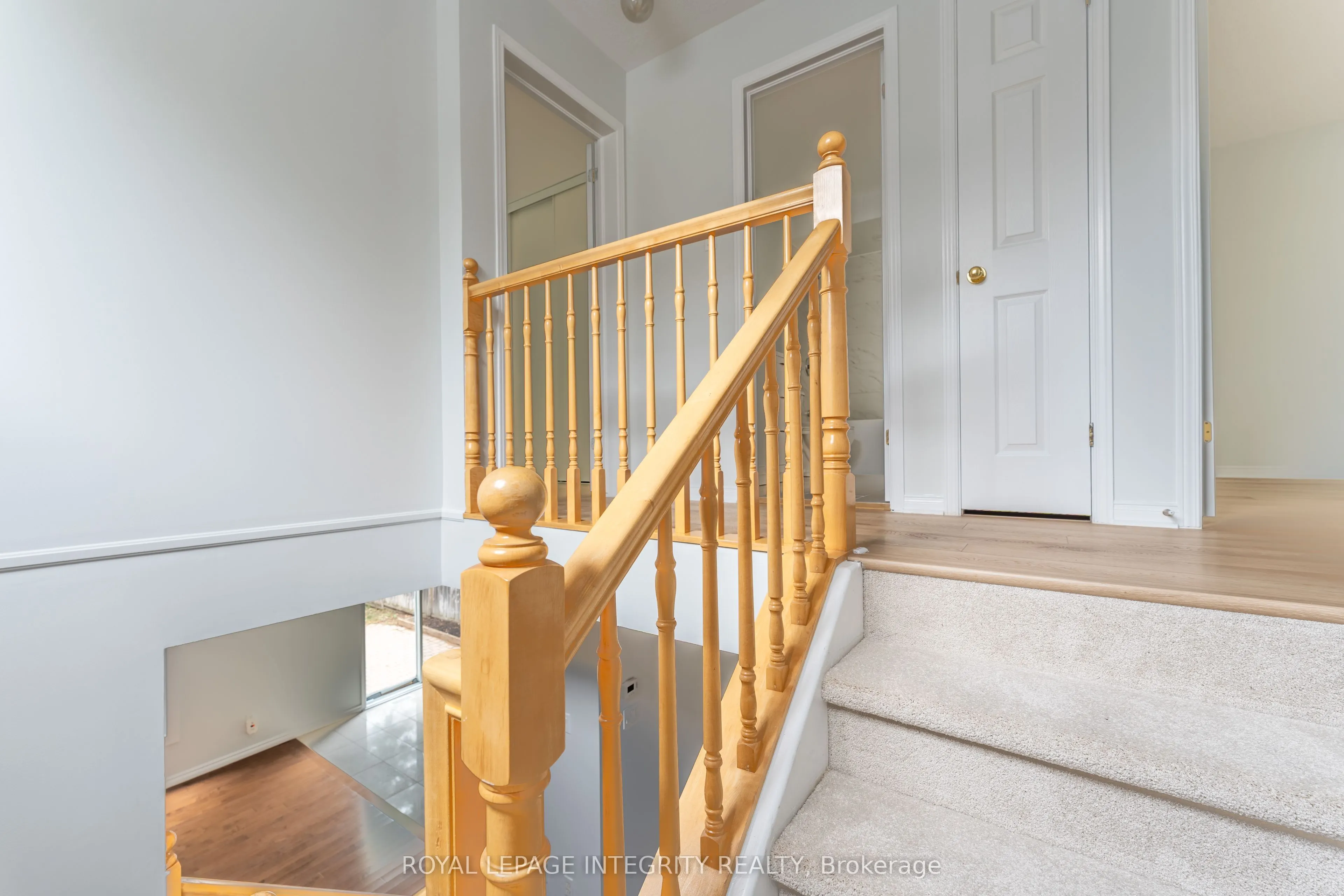 71 Appledale Drive