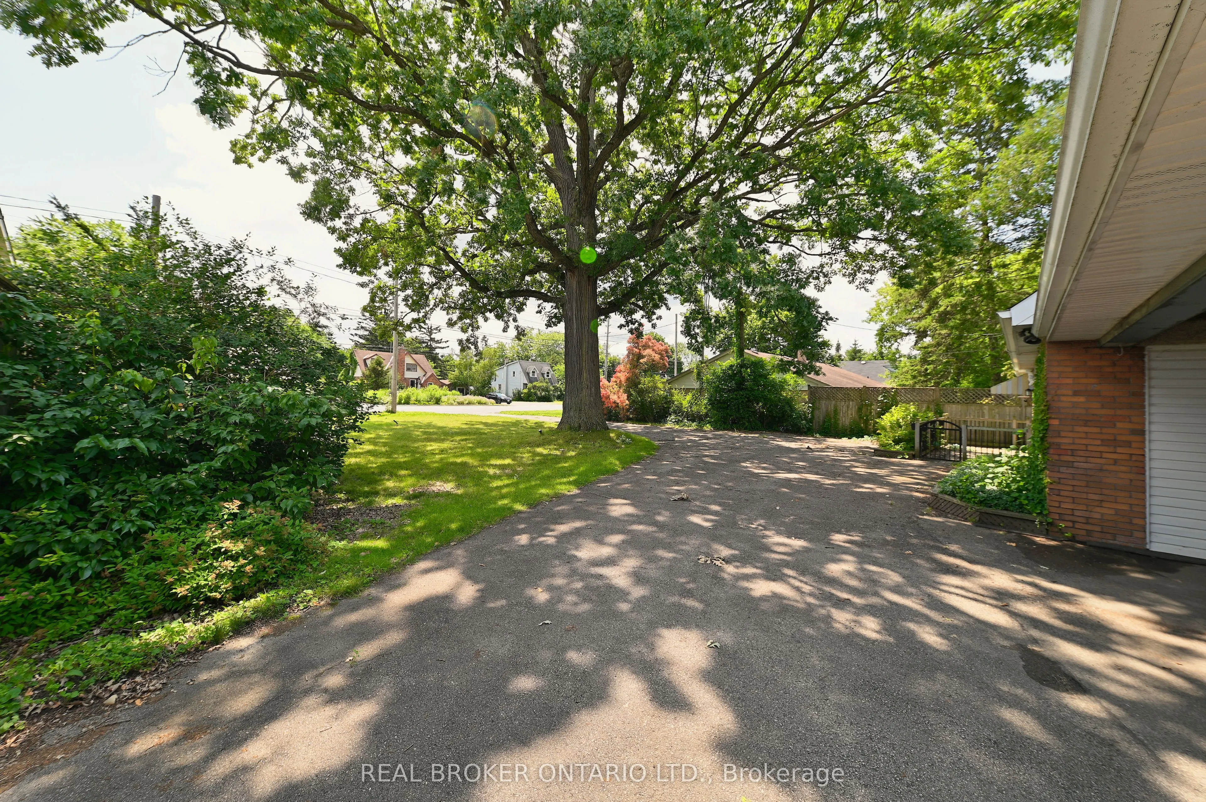 210 Speedvale Avenue E, #Main