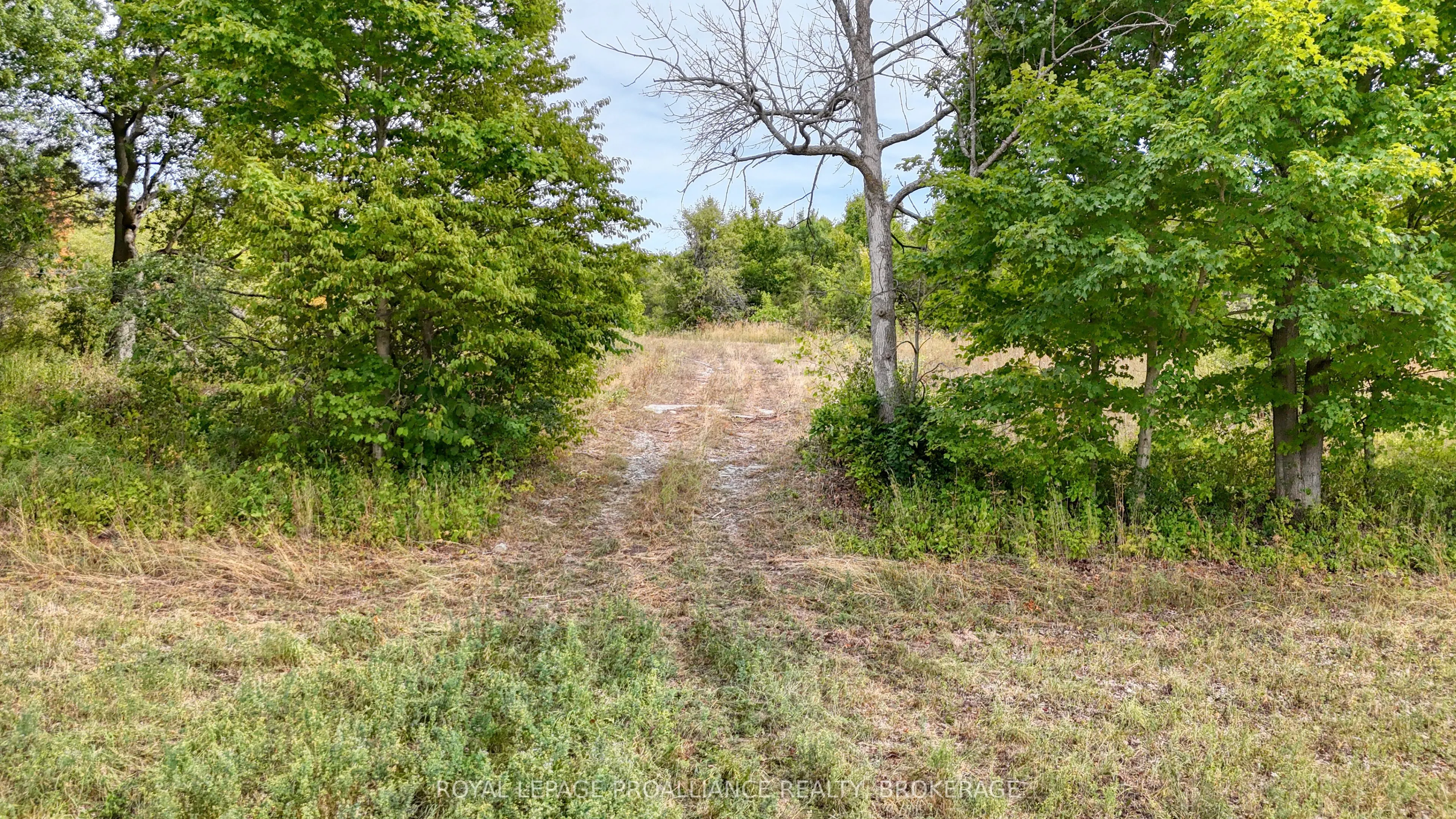 1551 County Road 1 East Road