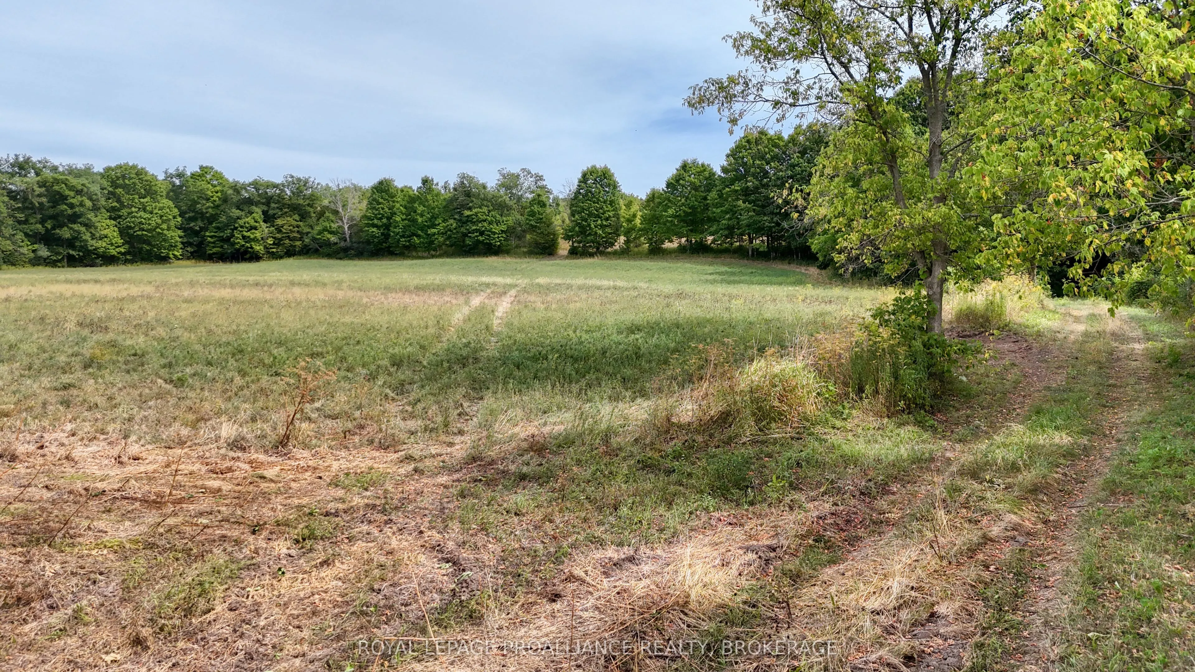 1551 County Road 1 East Road