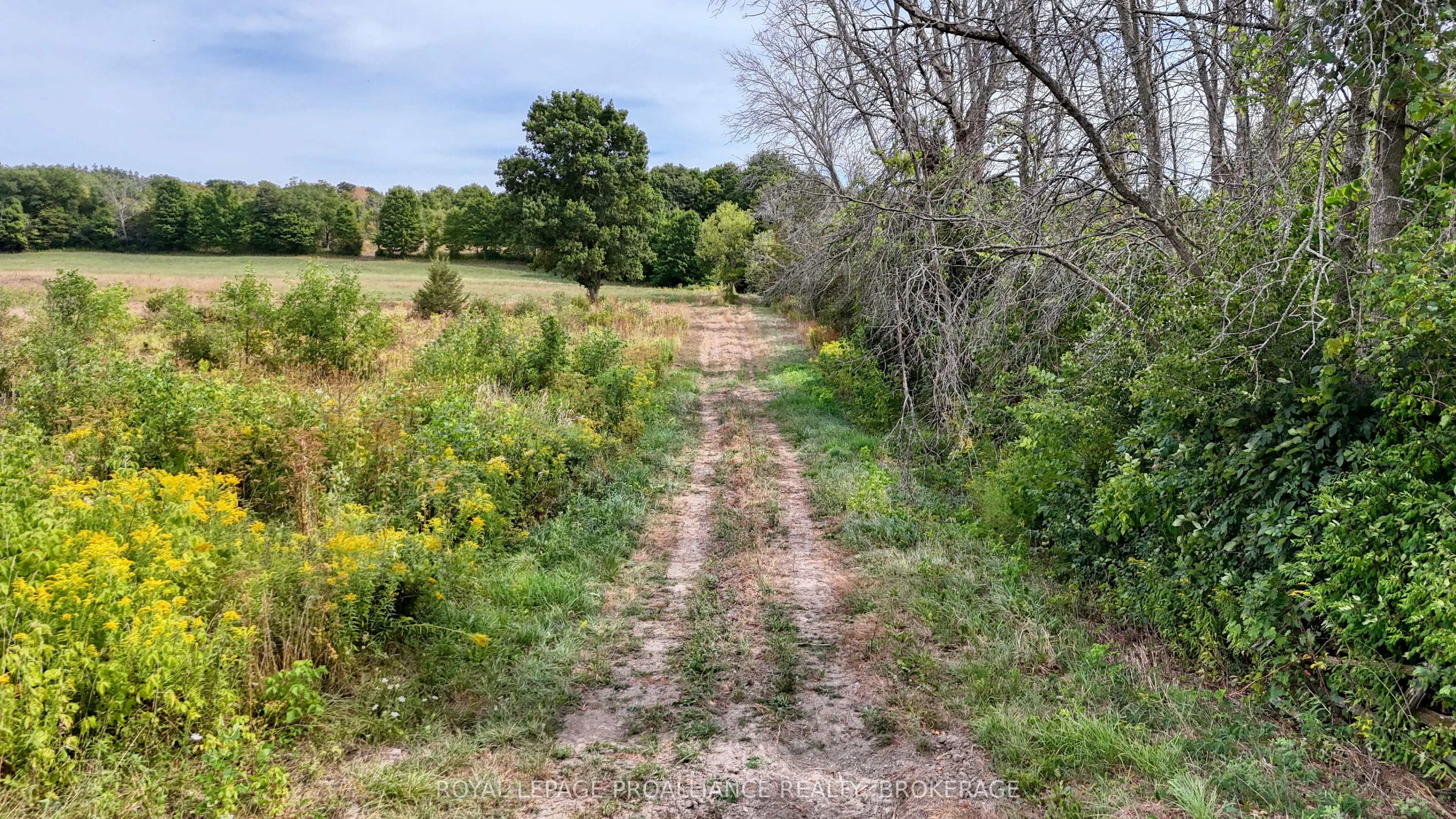 1551 County Road 1 East Road
